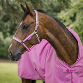 Bucas Halster Dublin Aurora Pink