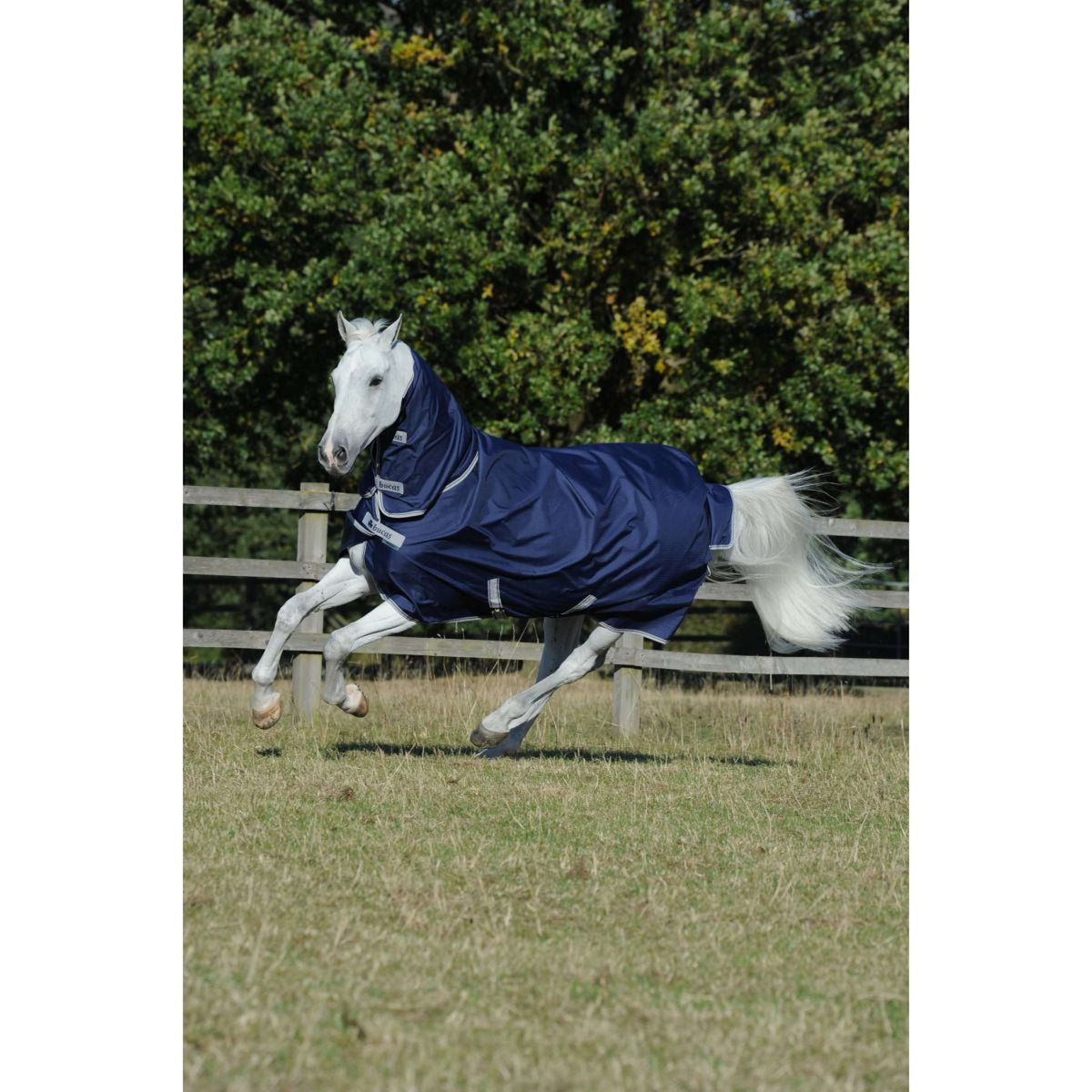 Bucas Freedom Turnout Full Neck 300g Navy