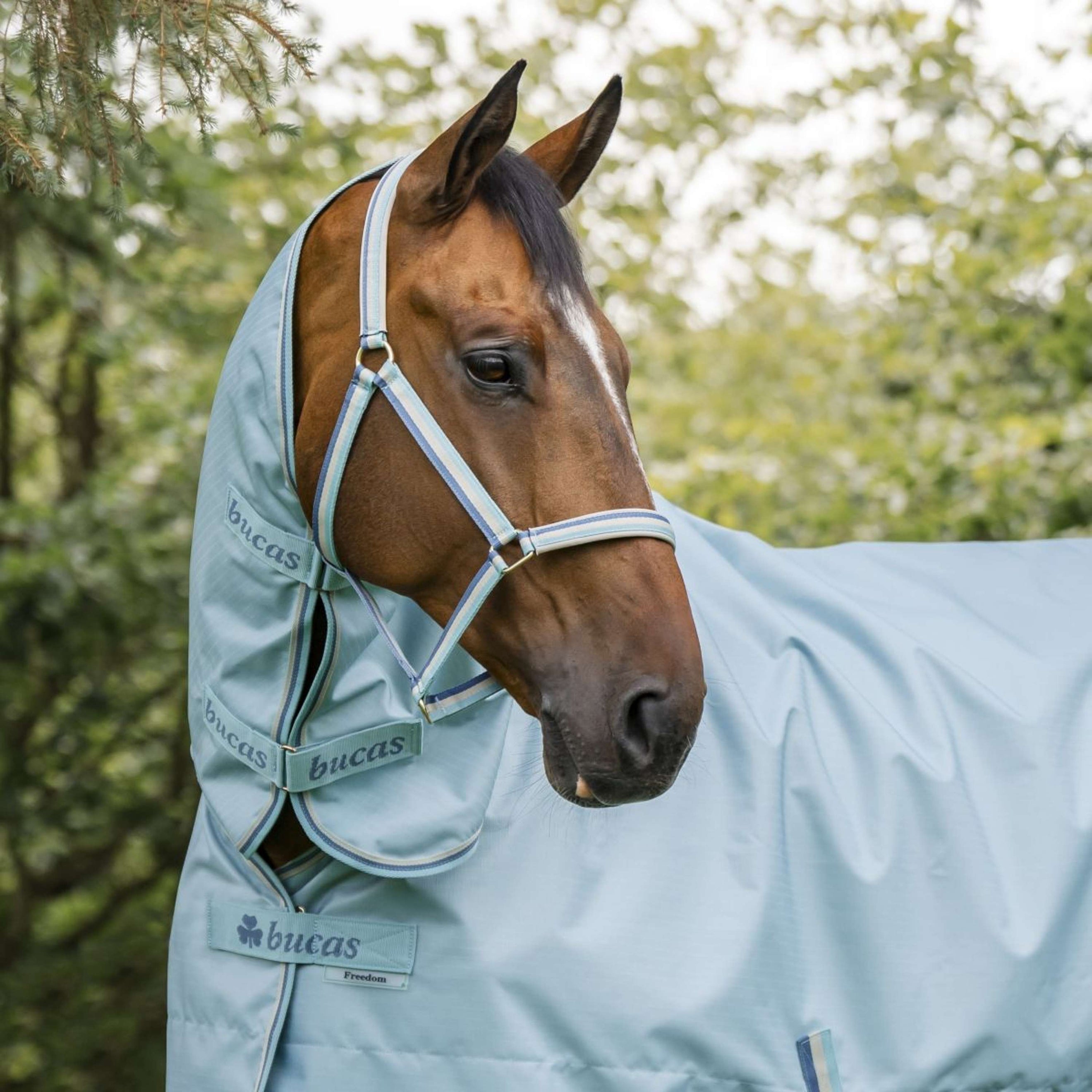 Bucas Halster Dublin Veulen Turquoise