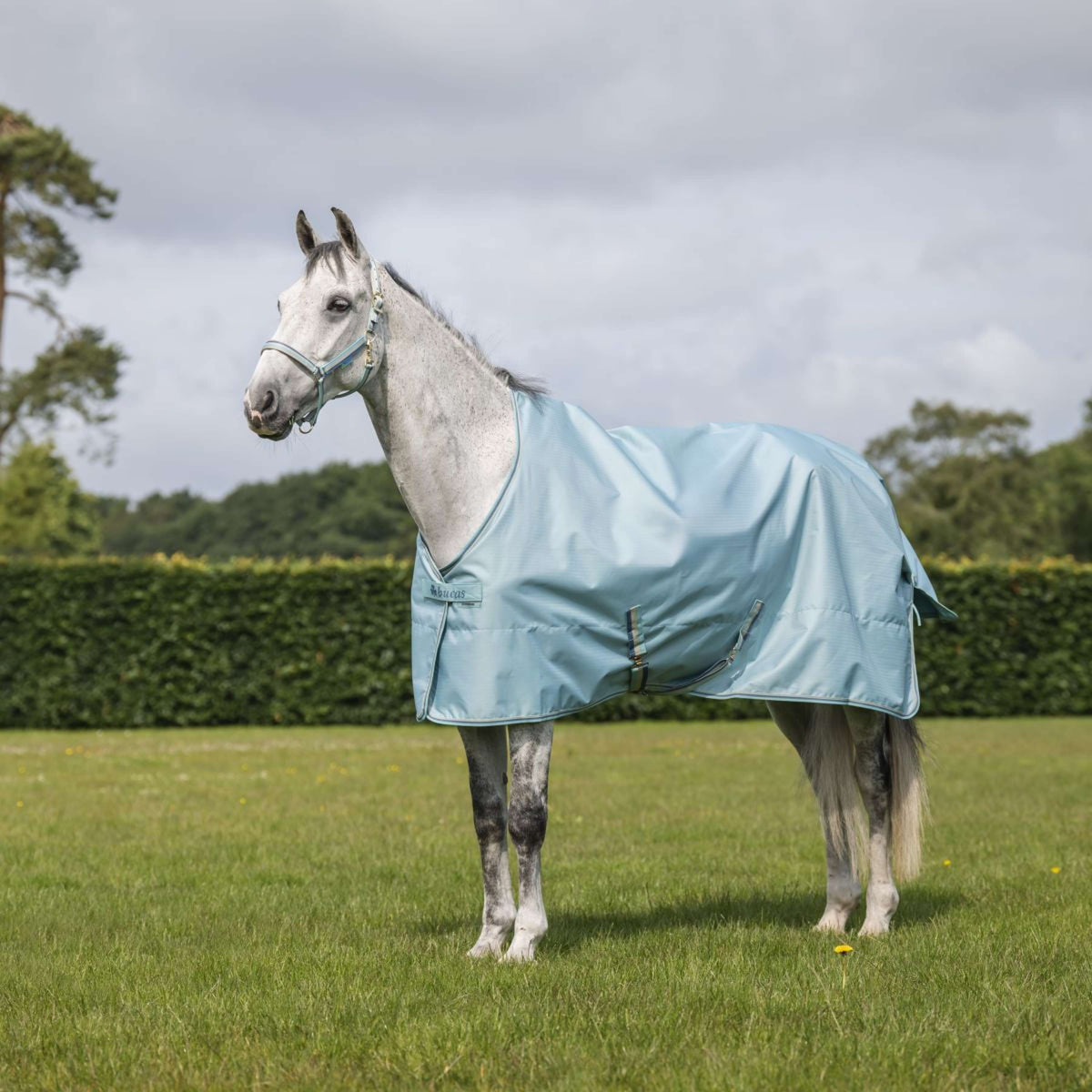 Bucas Halster Dublin Turquoise