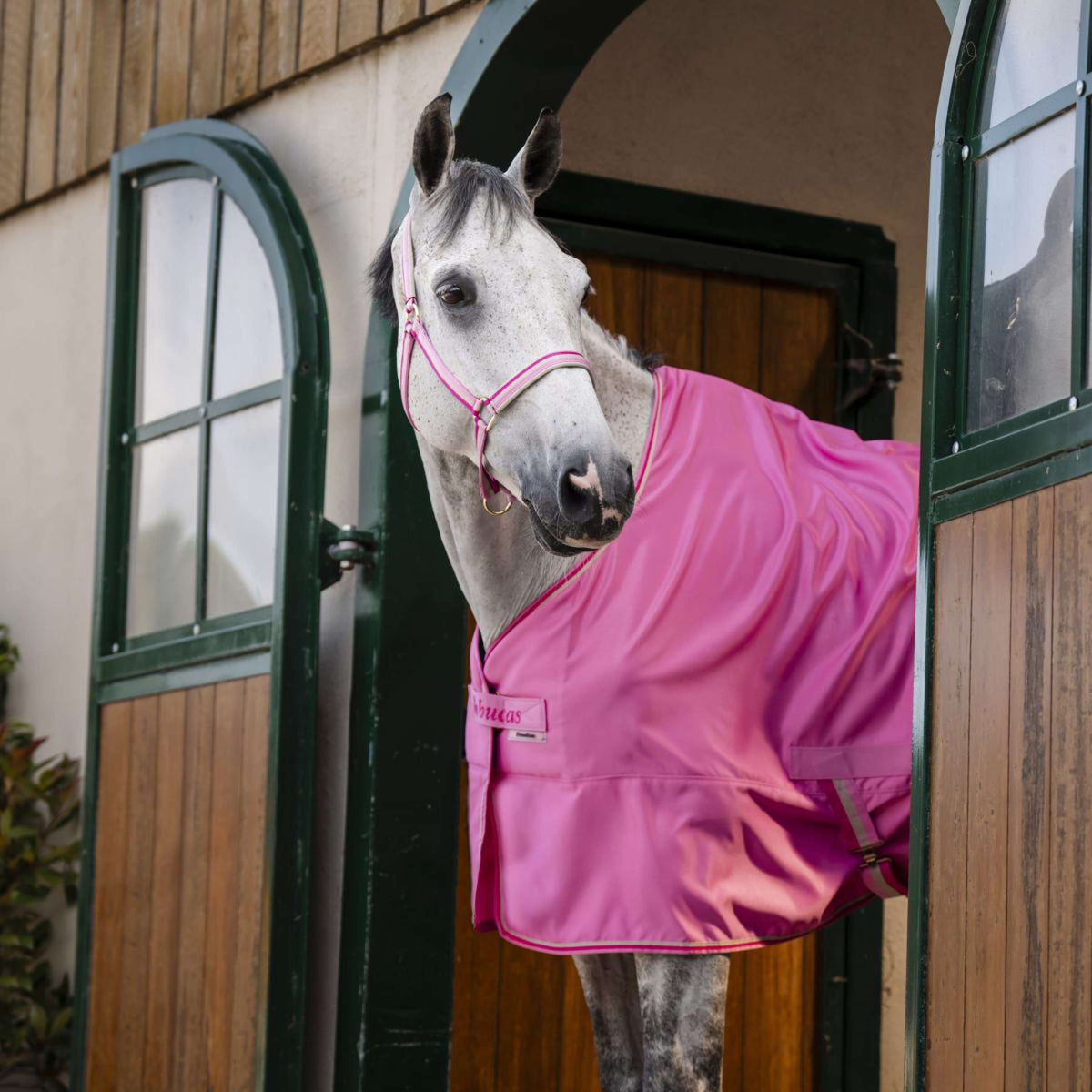 Bucas Freedom Twill Sheet 0g Aurora Pink