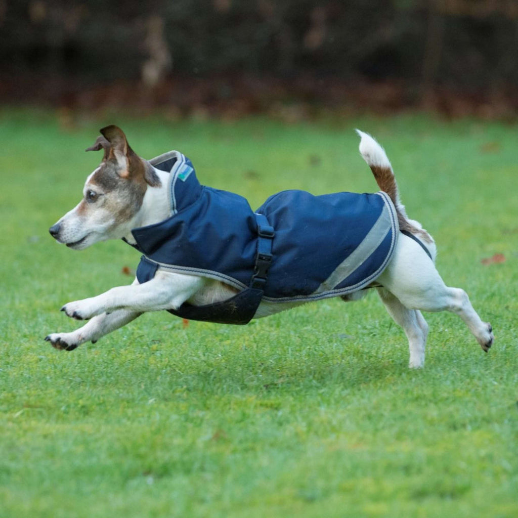 Bucas Freedom Dog Rug 300g Navy