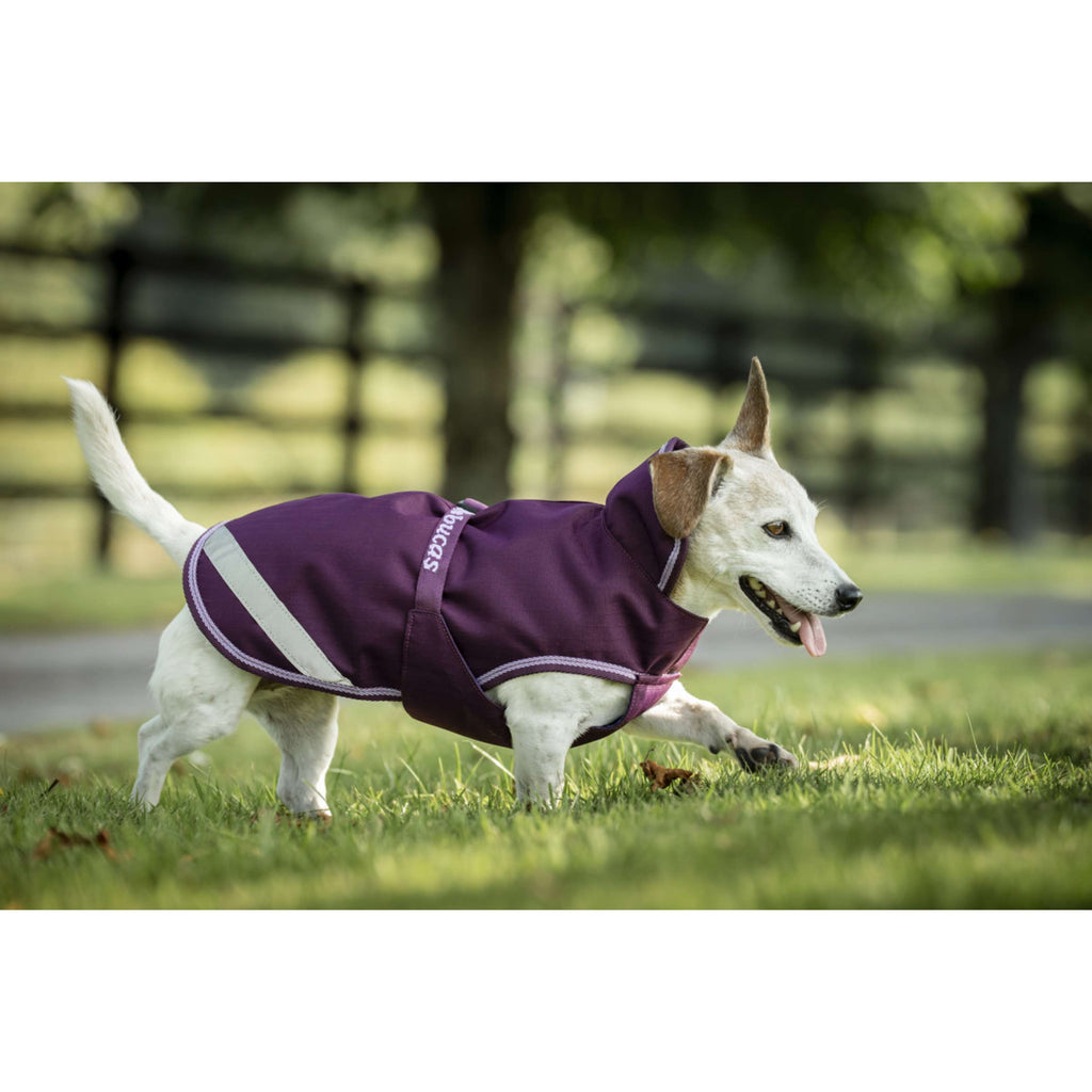 Bucas Freedom Dog Rug 300g Blackberry