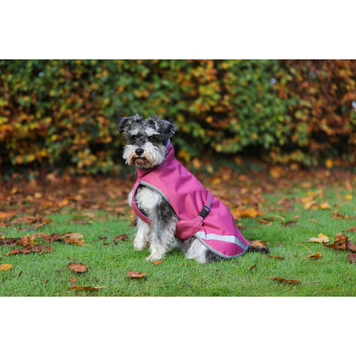 Bucas Freedom Dog Rug 50g Raspberry