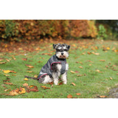 Bucas Freedom Dog Rug 300gr Smoke Grey