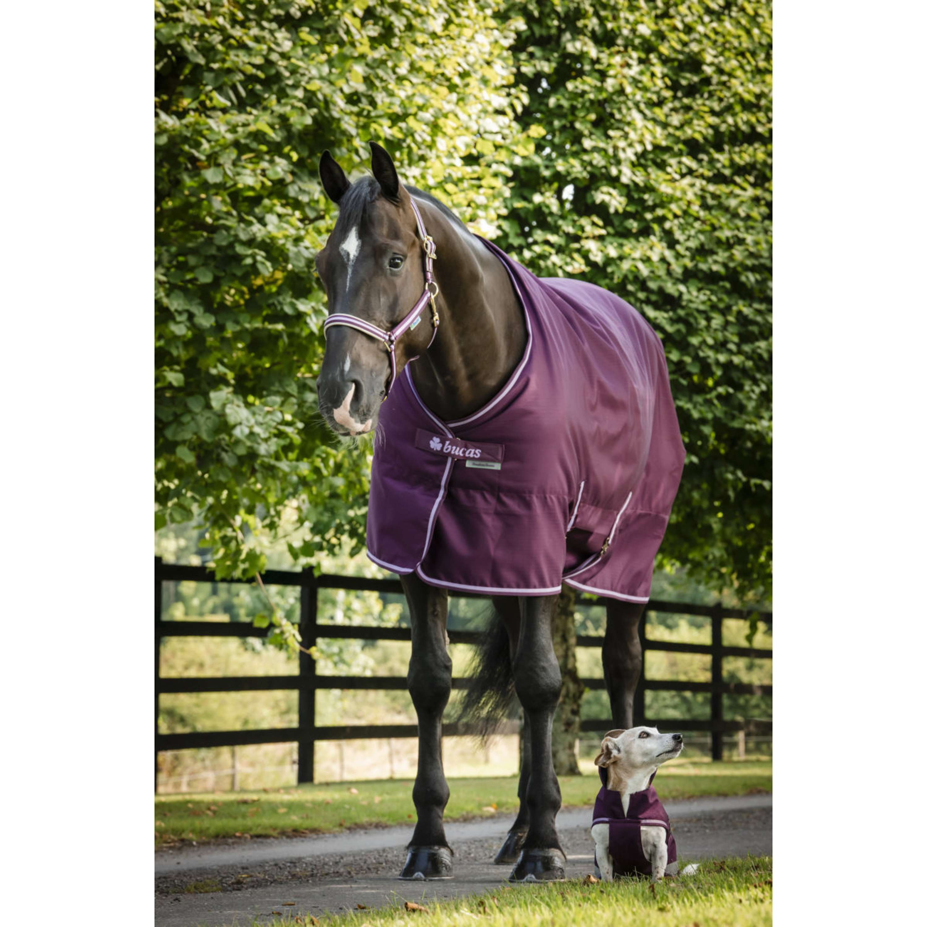 Bucas Freedom Staldeken 150g Blackberry