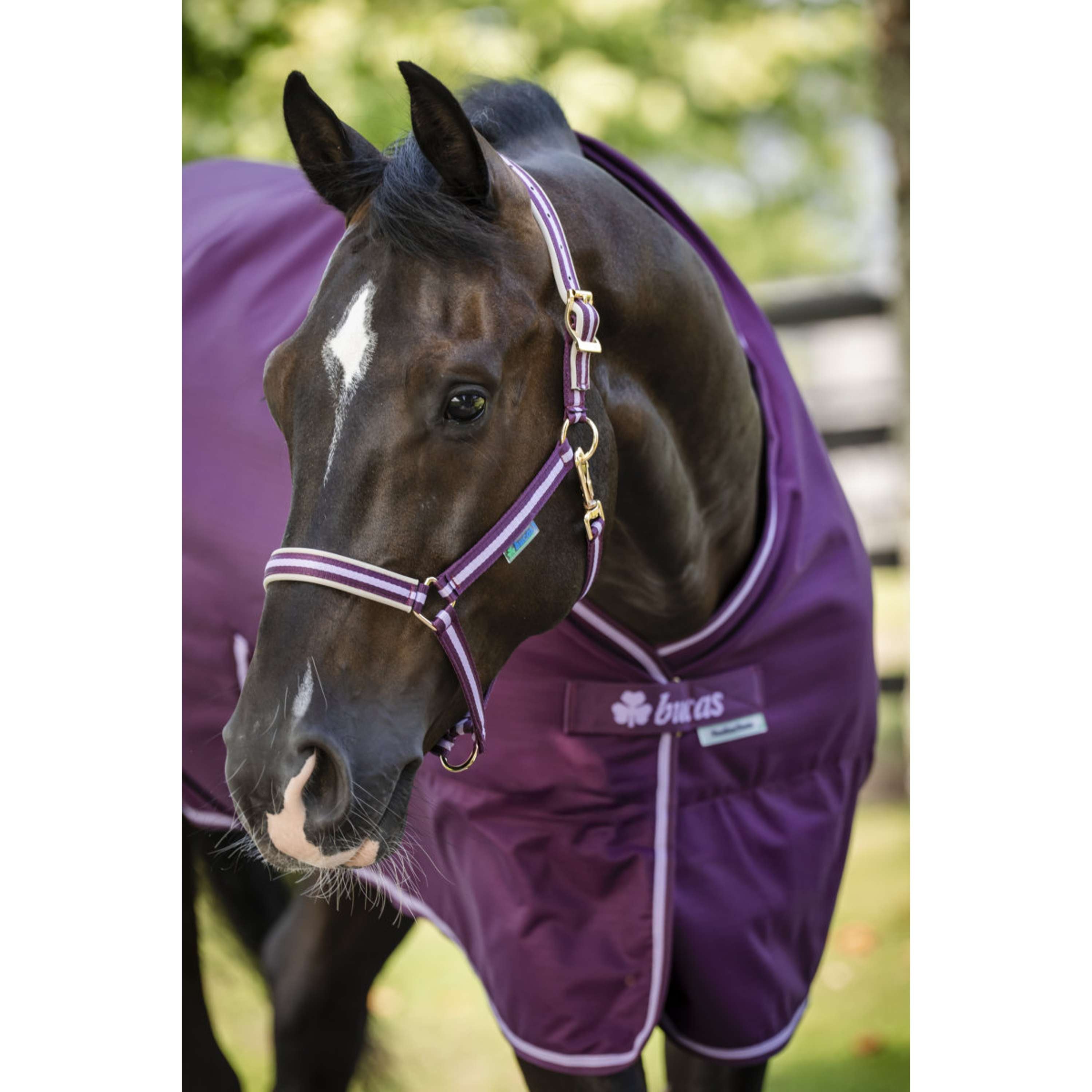 Bucas Freedom Staldeken 150g Blackberry