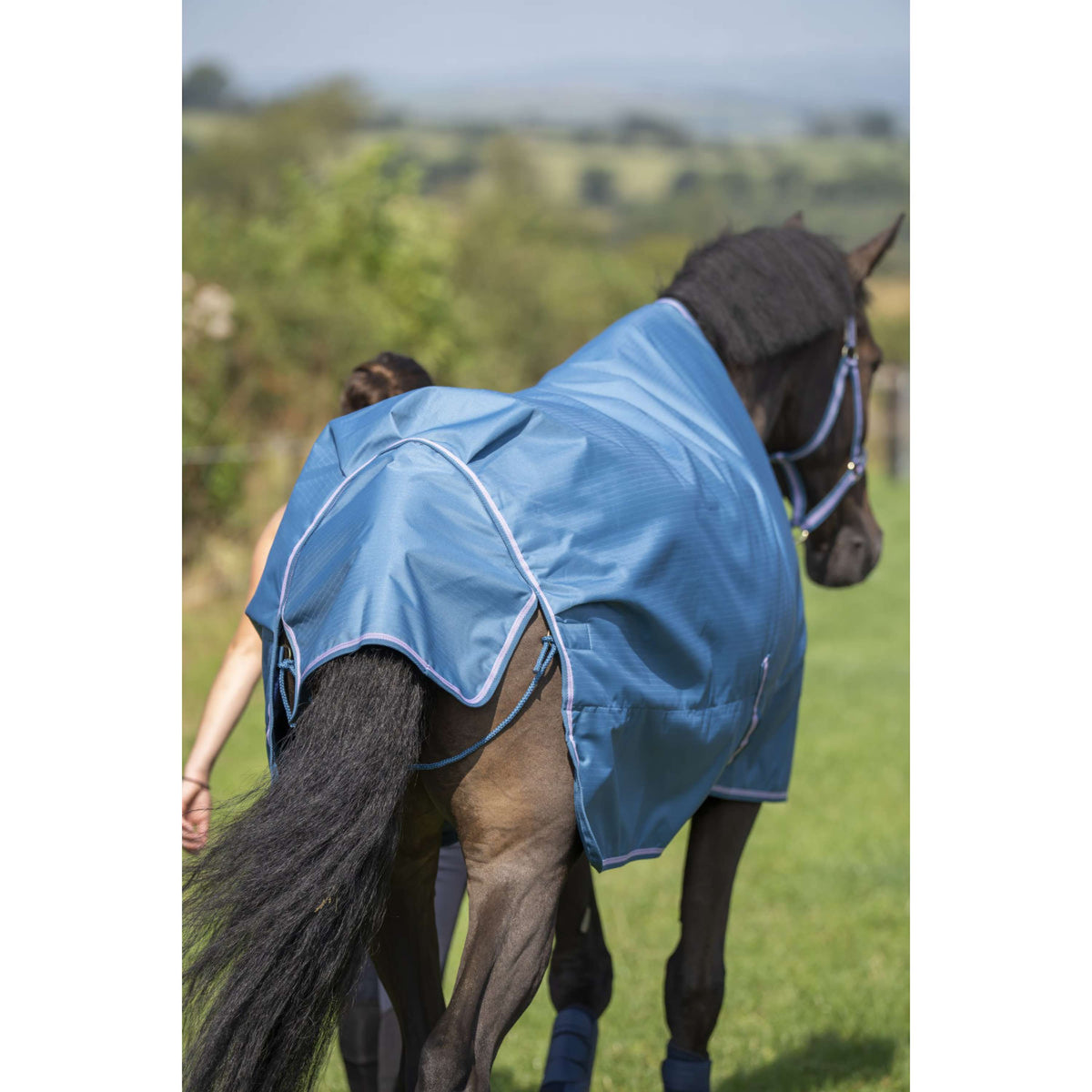 Bucas Freedom Turnout Light 0g Blueberry