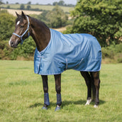 Bucas Freedom Turnout Light 0g Blueberry