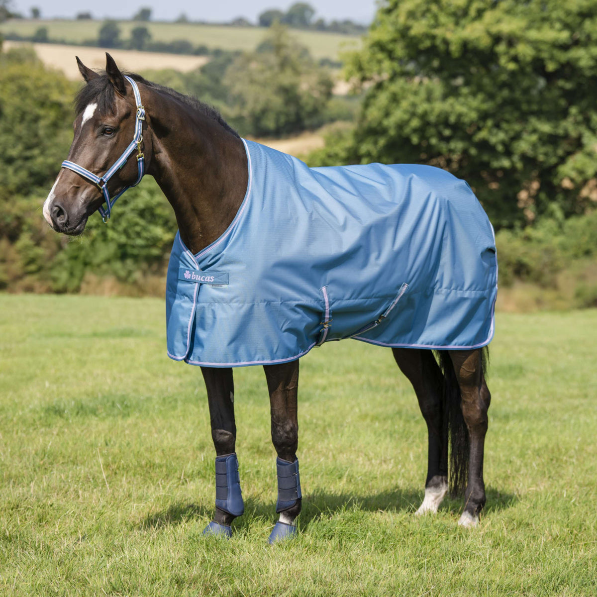 Bucas Halster Dublin Blueberry