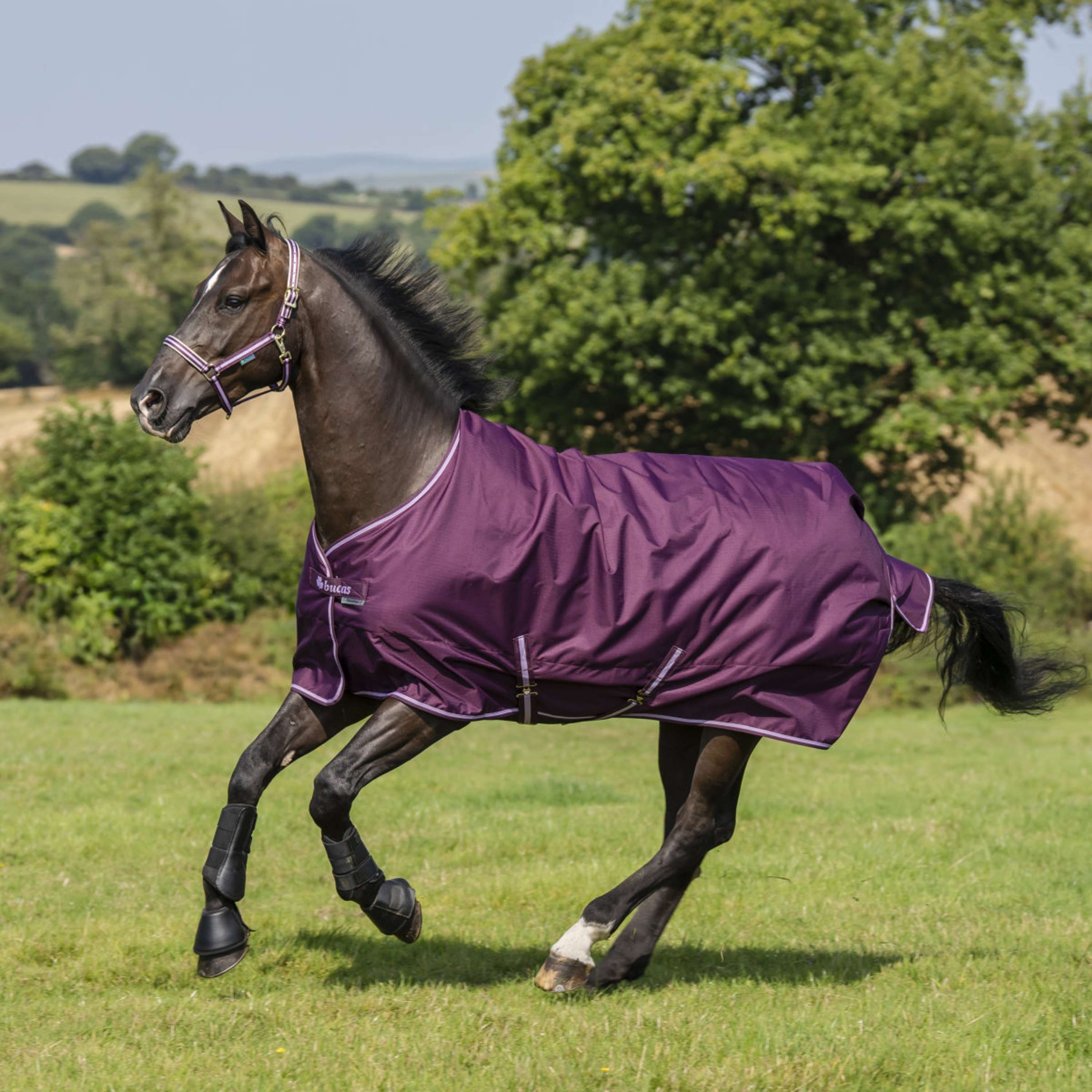Bucas Freedom Turnout 300g Blackberry