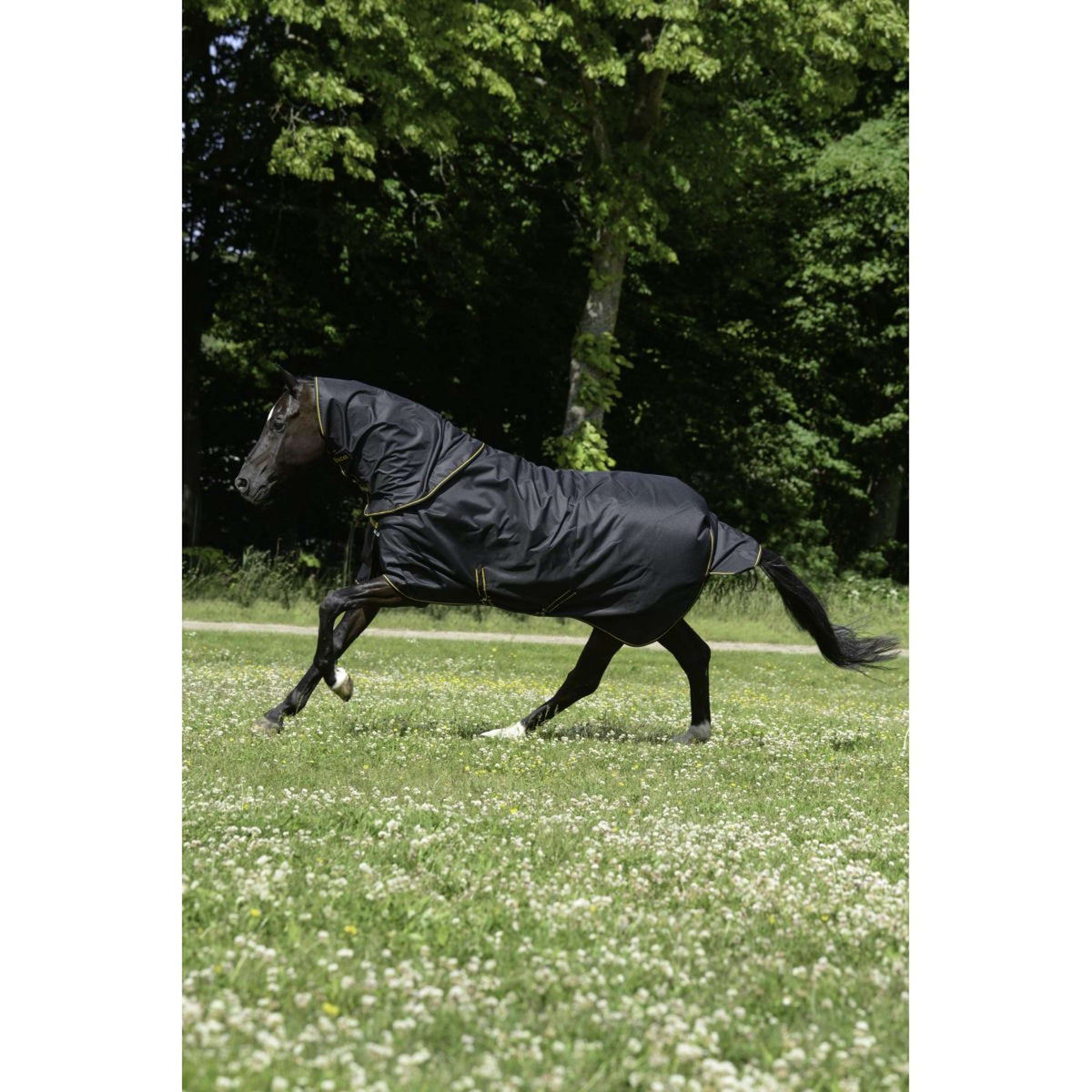 Bucas Halsstuk Irish Turnout Combi Neck 300g Black/Gold