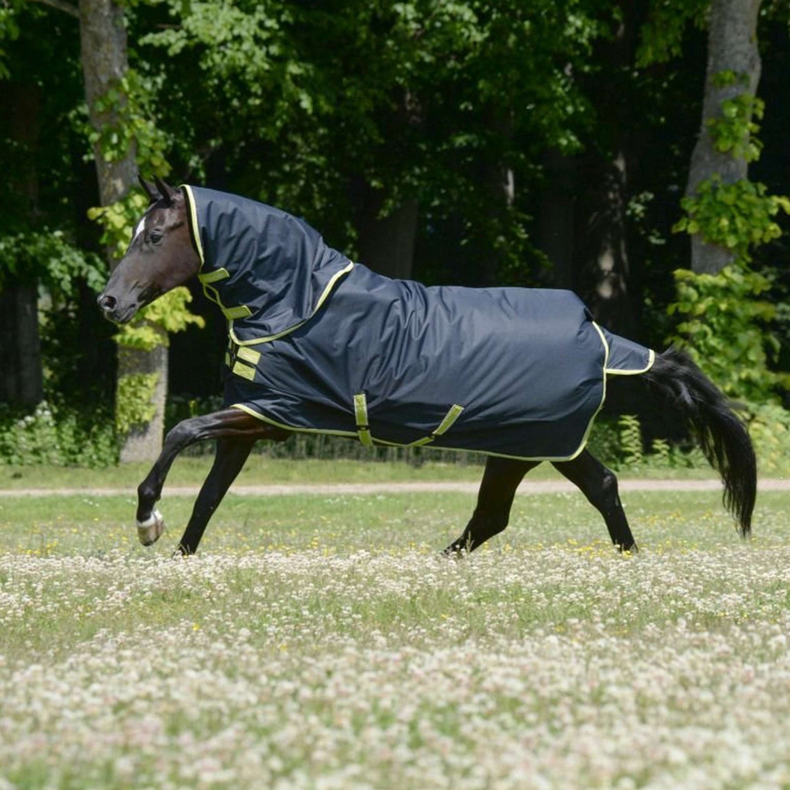 Bucas Oasis Turnout Neck 200g Dark Grey/Lime