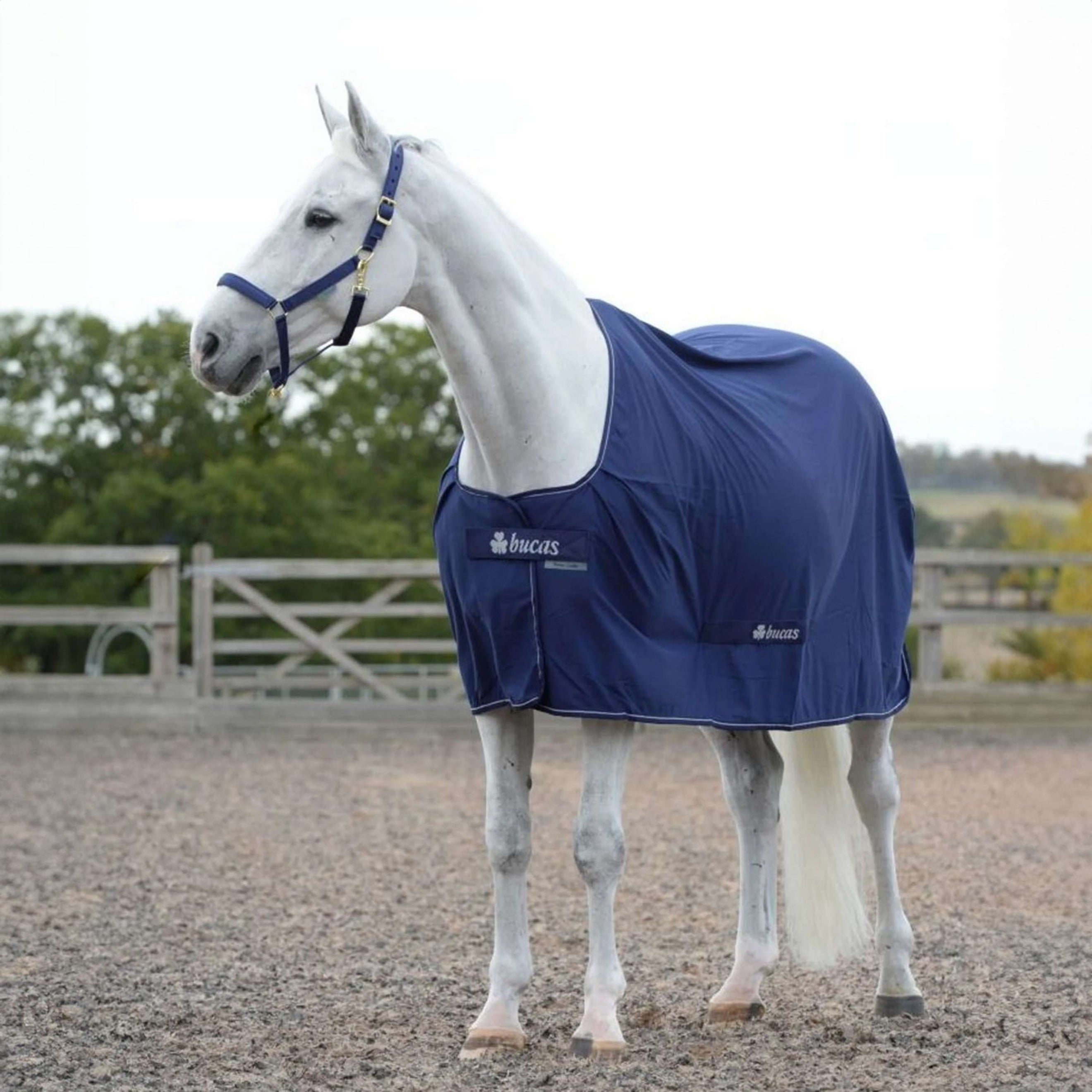 Bucas Power Cooler Navy/Silver Bucas Power Cooler Navy/Silver