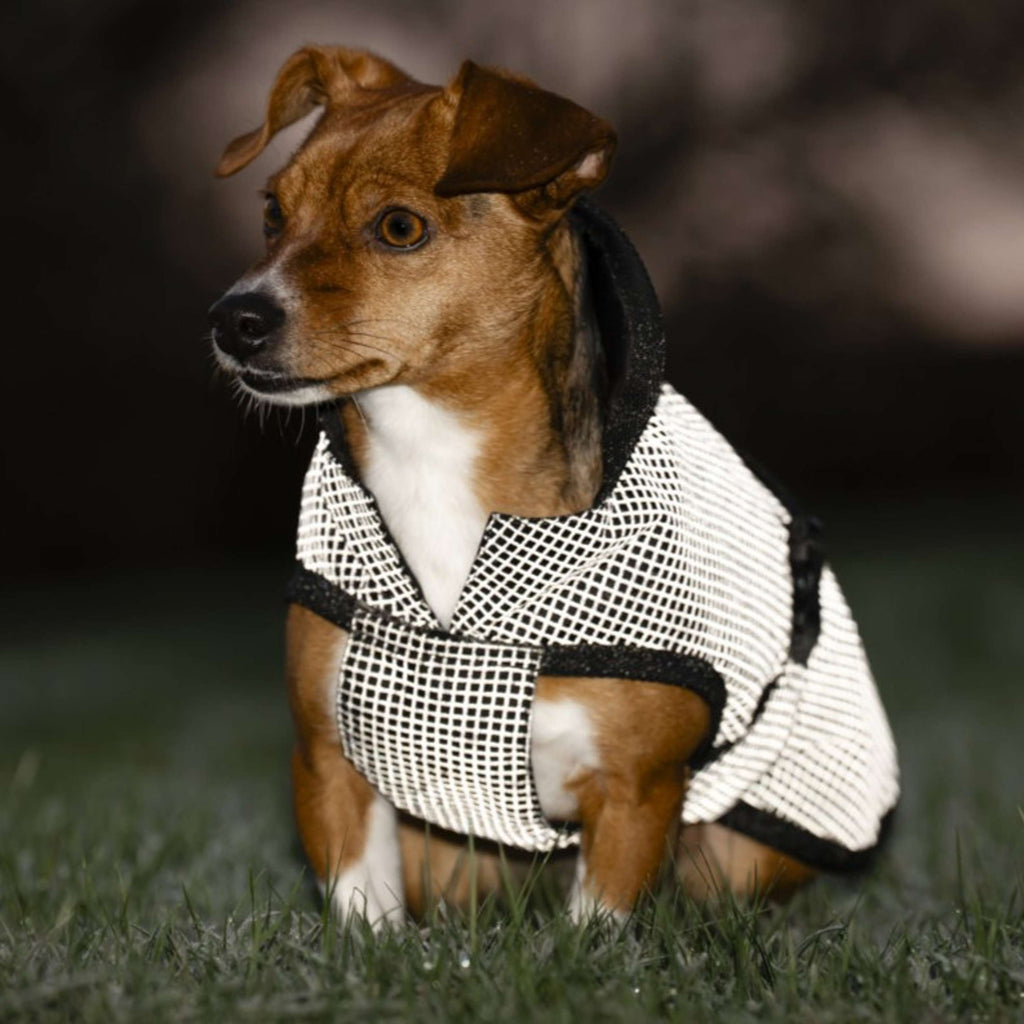 Bucas Dog Rug Reflectglow Reflectglow