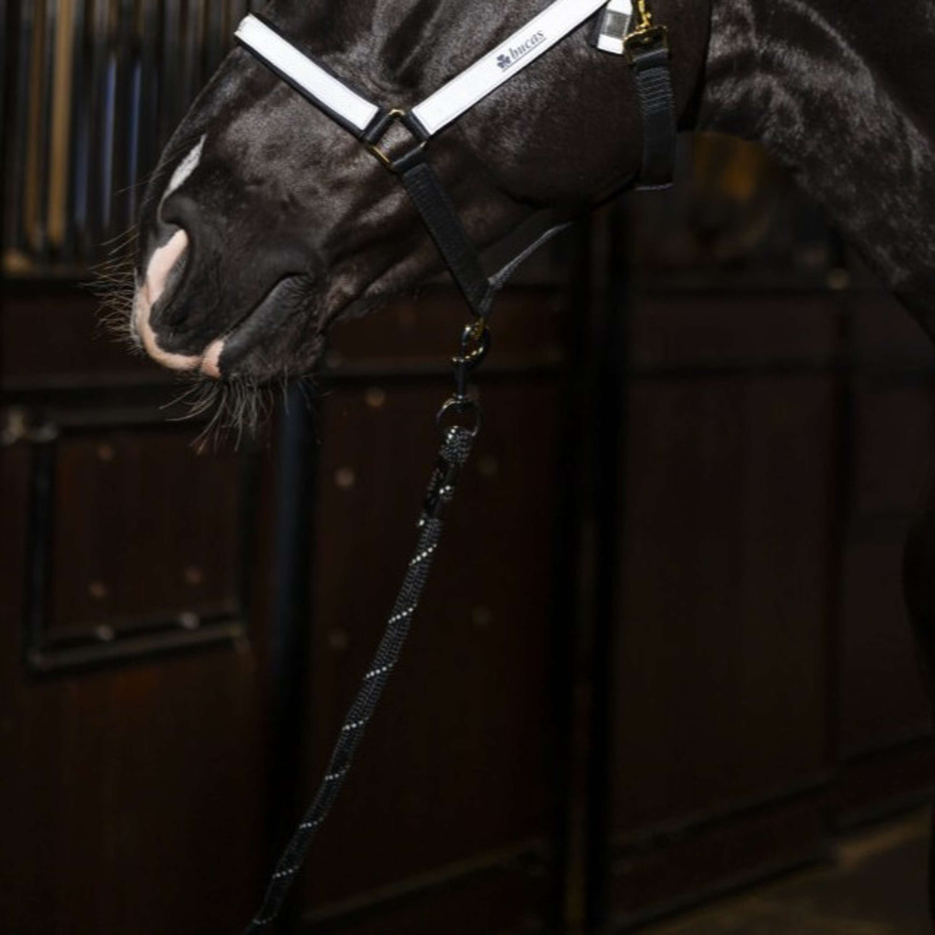 Bucas Halstertouw Reflectglow met Musketonhaak Reflectglow