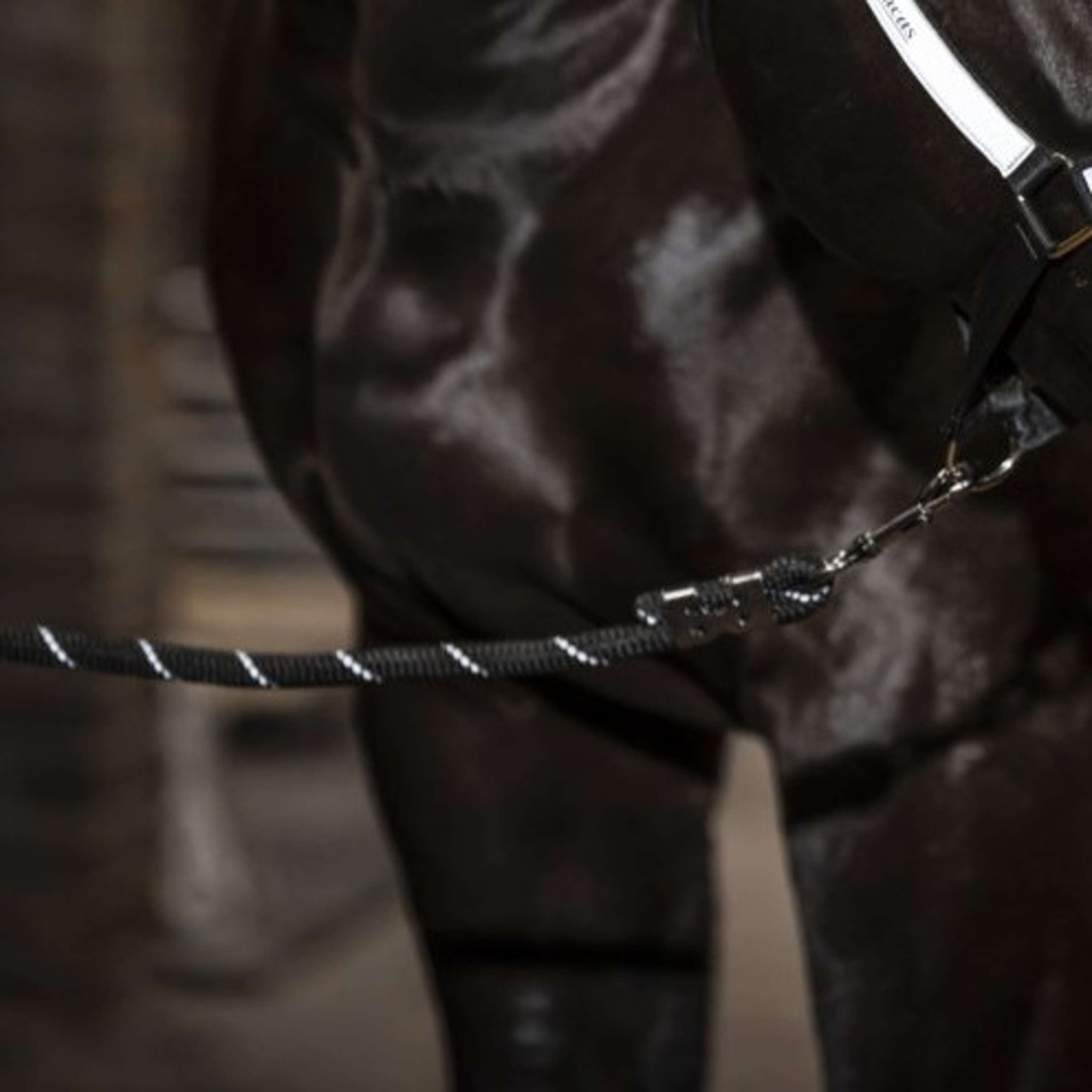 Bucas Halstertouw Reflectglow met Musketonhaak Reflectglow