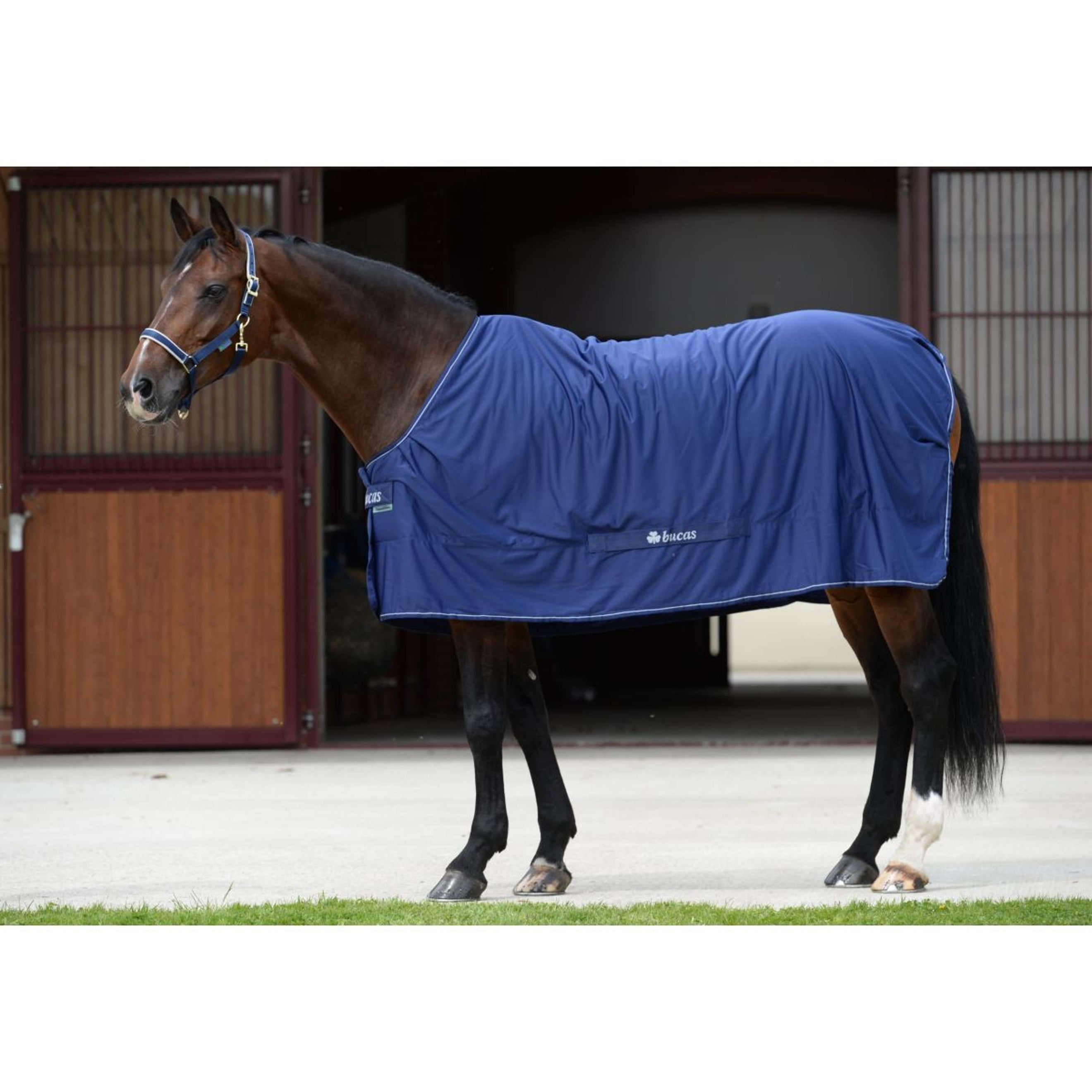 Bucas Shamrock Power Navy/Silver Bucas Shamrock Power Navy/Silver