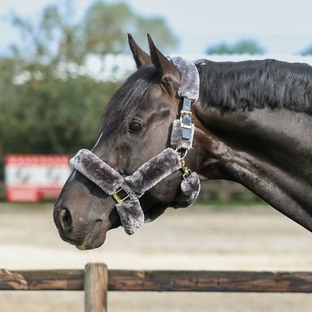 Bucas Halster Show-Line Fur Navy/Grijs