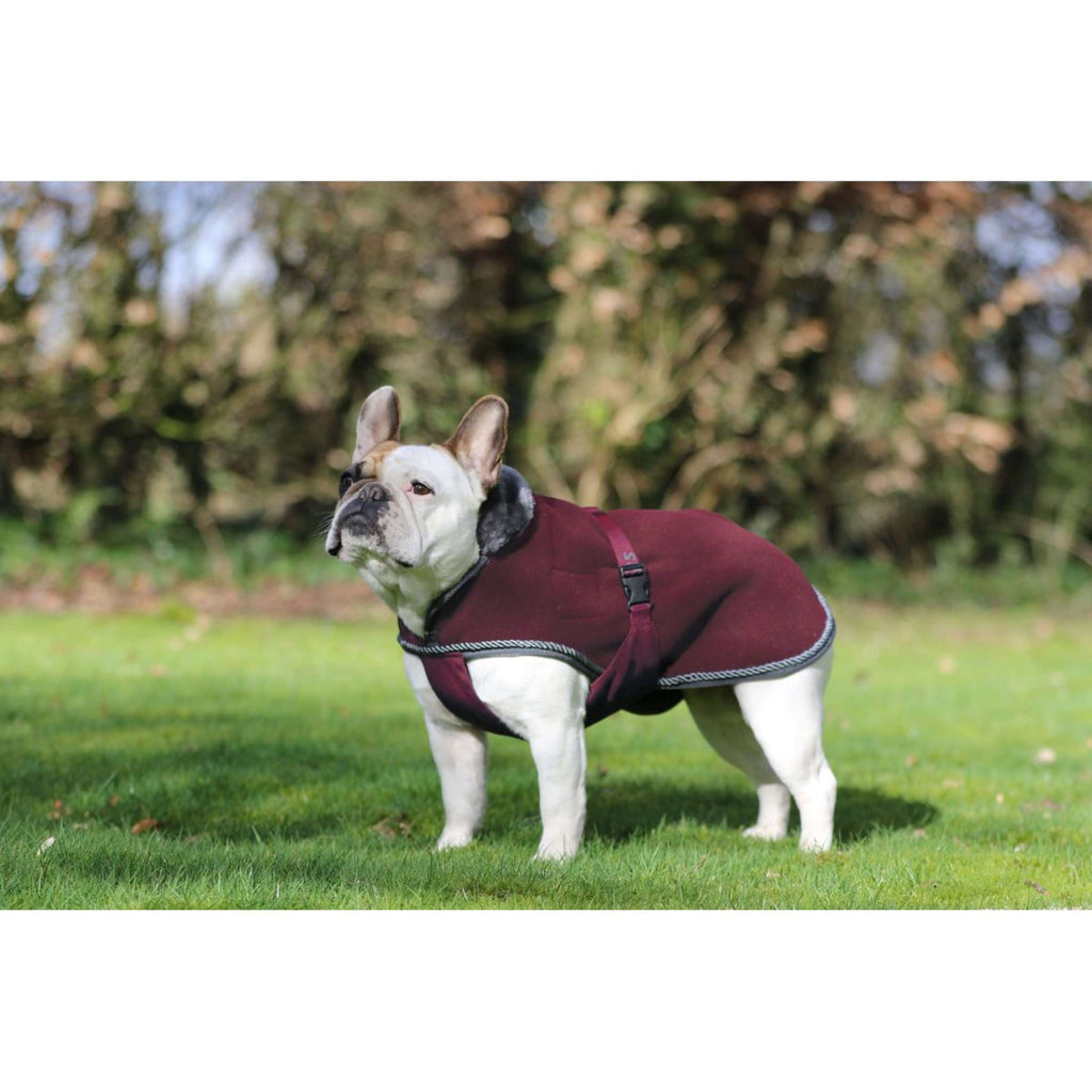 Bucas Hondendeken Show-Line Burgundy/Grijs