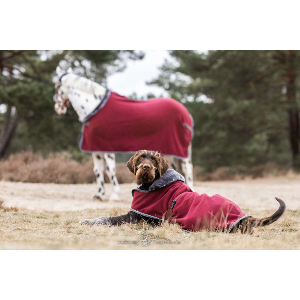 Bucas Hondendeken Show-Line Burgundy/Grijs