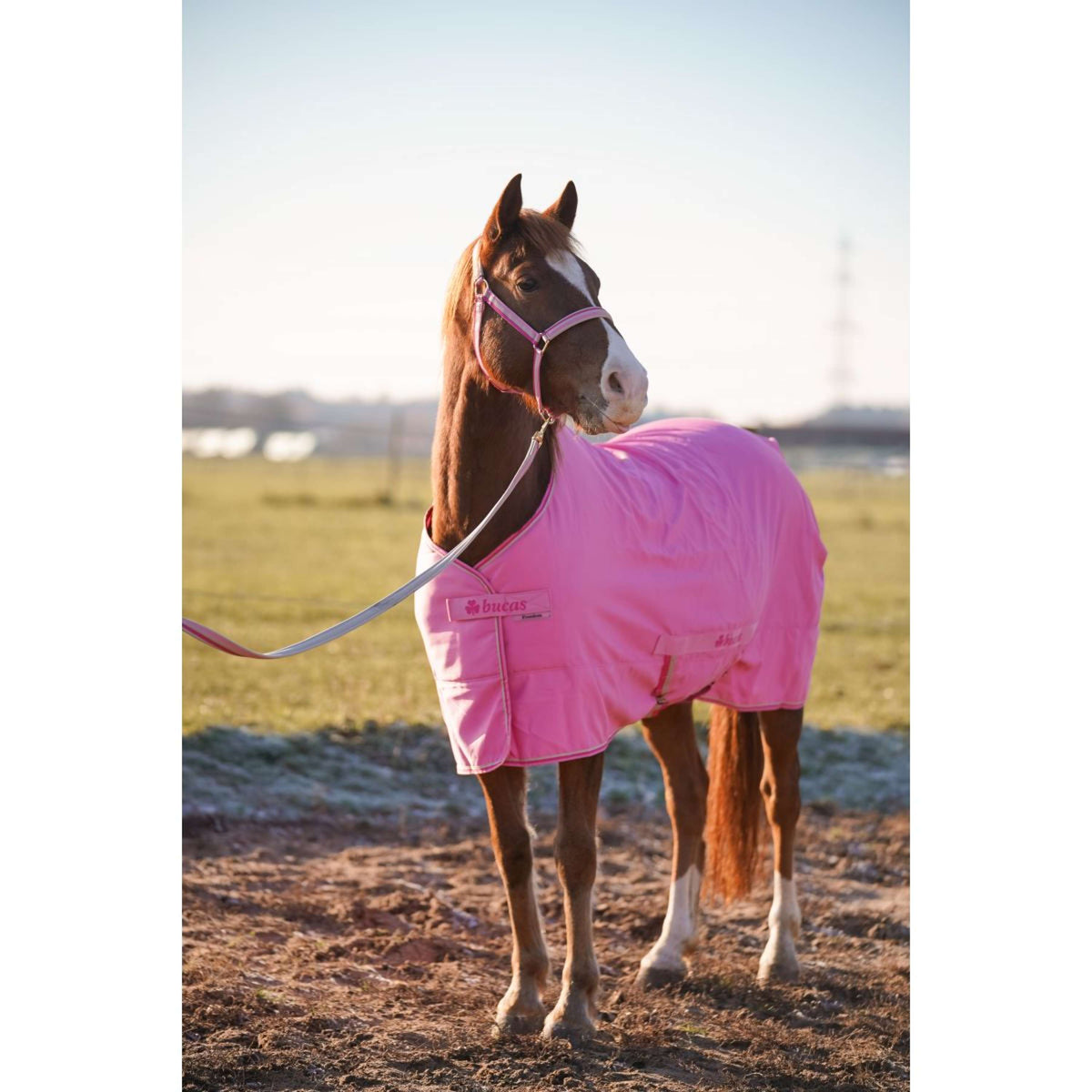 Bucas Lead Rein Dublin Padded Aurora Pink