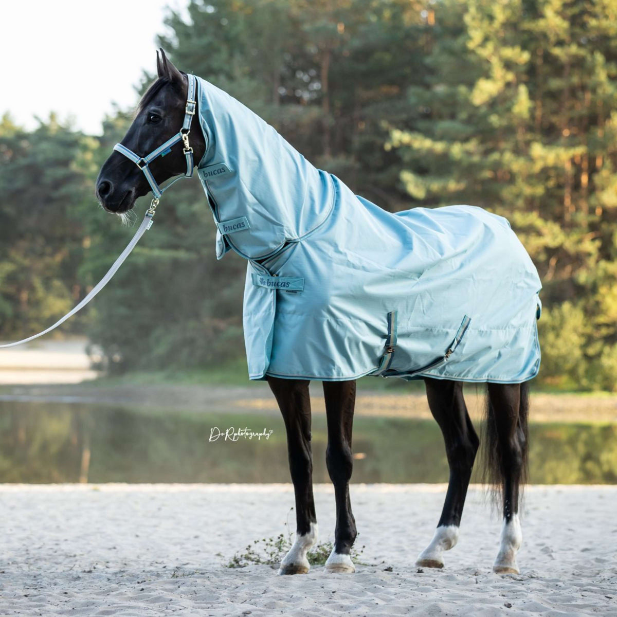 Bucas Lead Rein Dublin Padded Turquoise