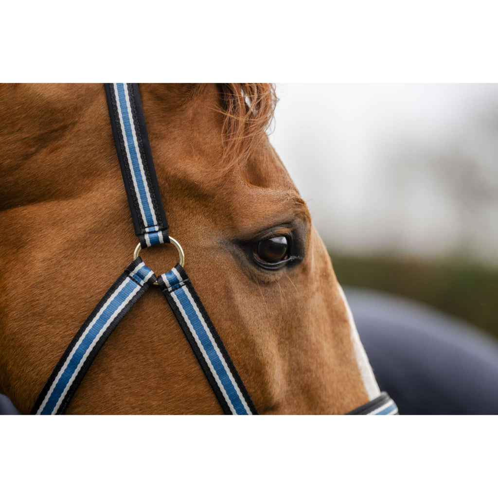 Bucas Anniversary Halster Dublin Sapphire