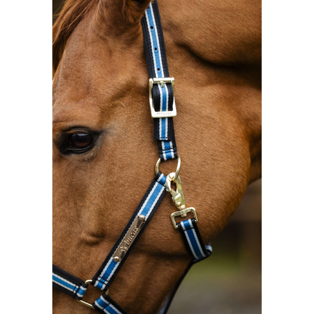 Bucas Anniversary Halster Dublin Sapphire