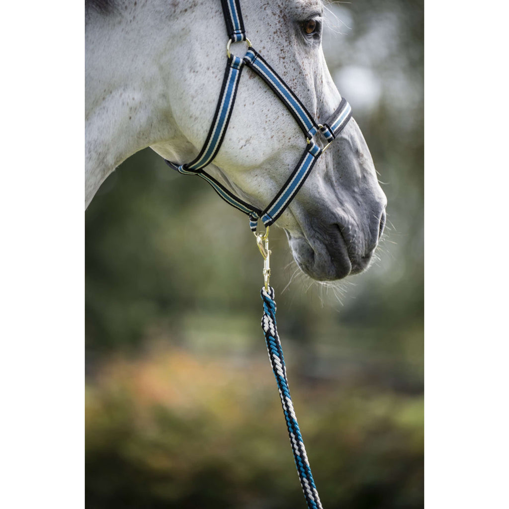 Bucas Halstertouw Comfort met Musketonhaak Sapphire