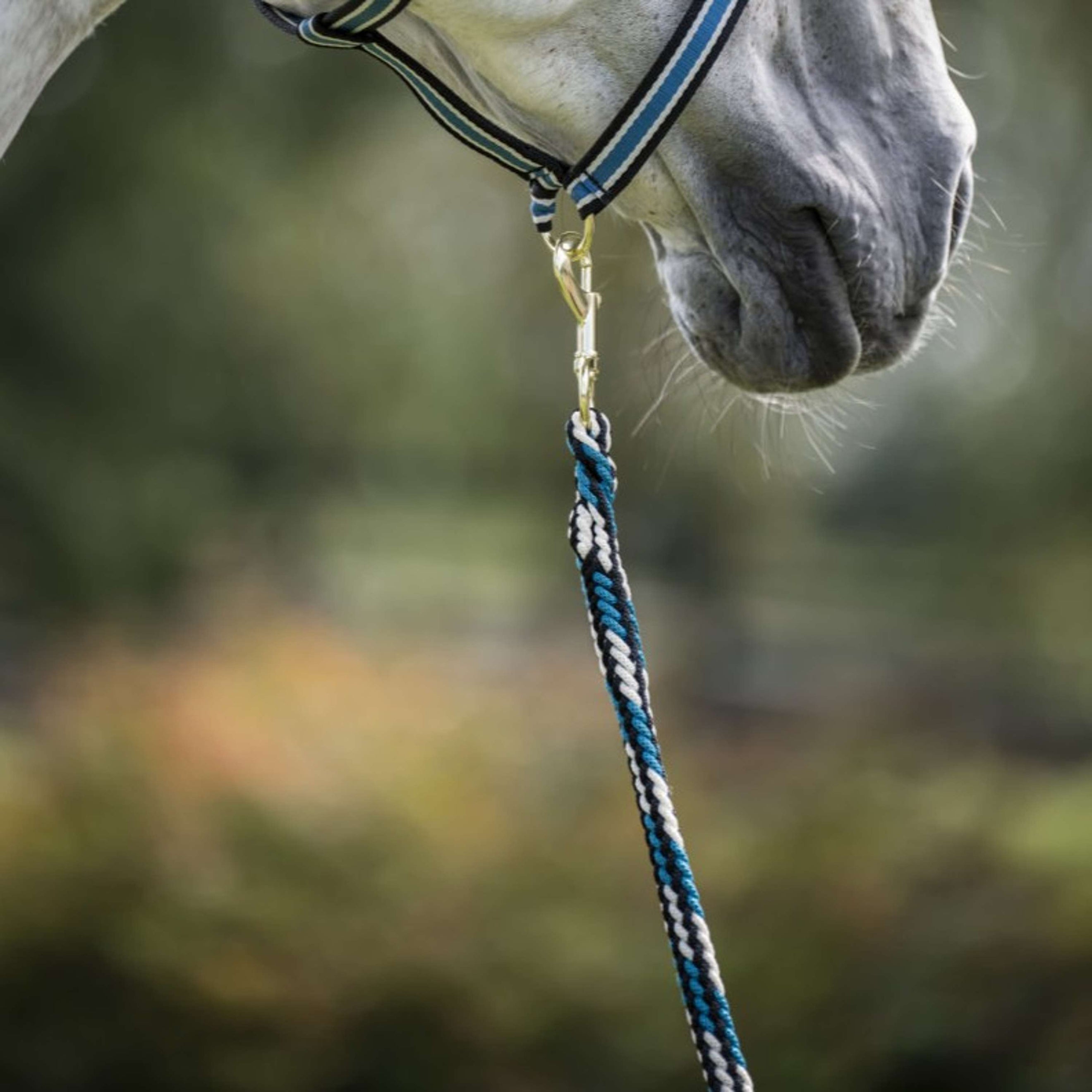 Bucas Halstertouw Comfort met Musketonhaak Sapphire