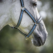 Bucas Anniversary Halster Dublin Sapphire