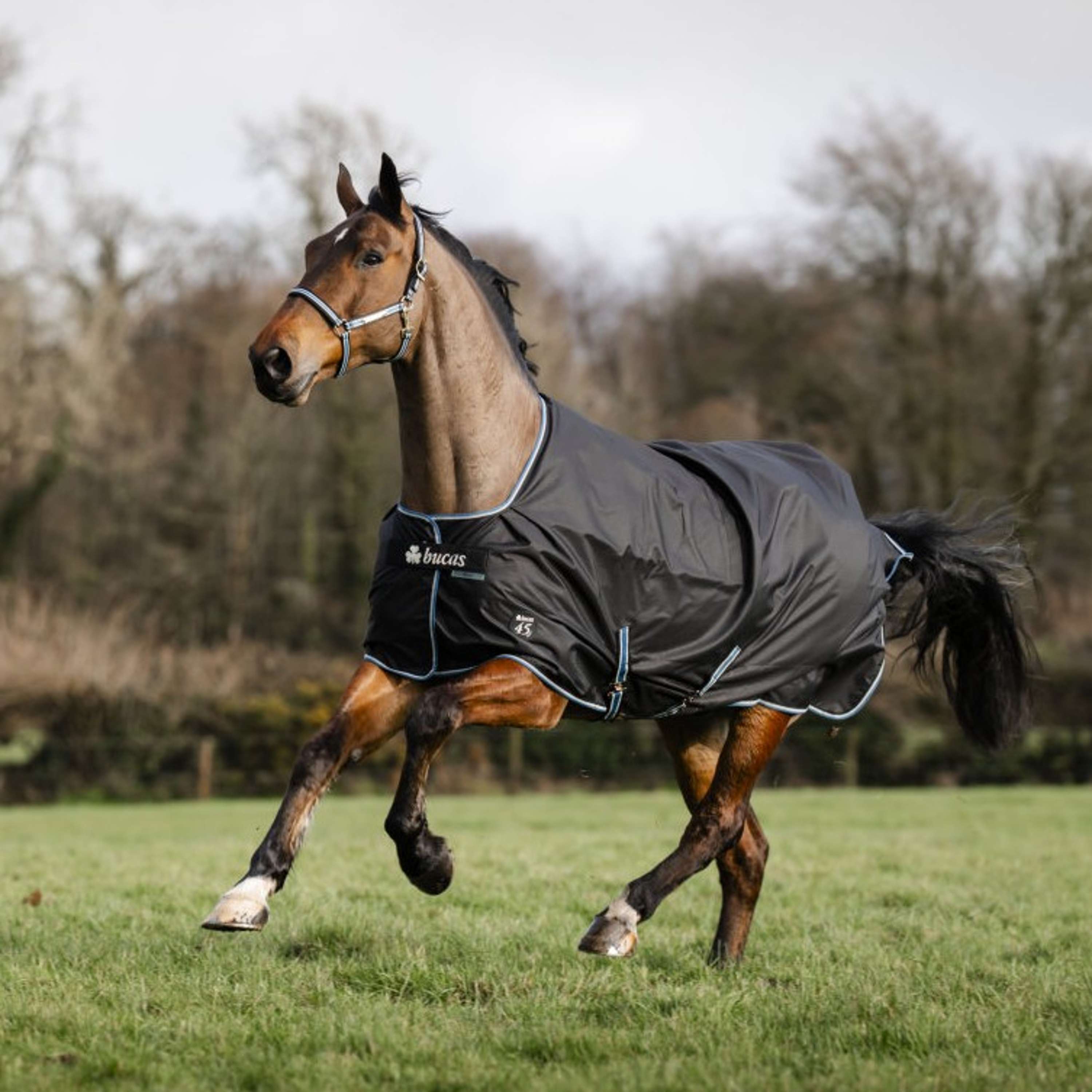 Bucas Anniversary Turnout Dermo-care 50g Sapphire