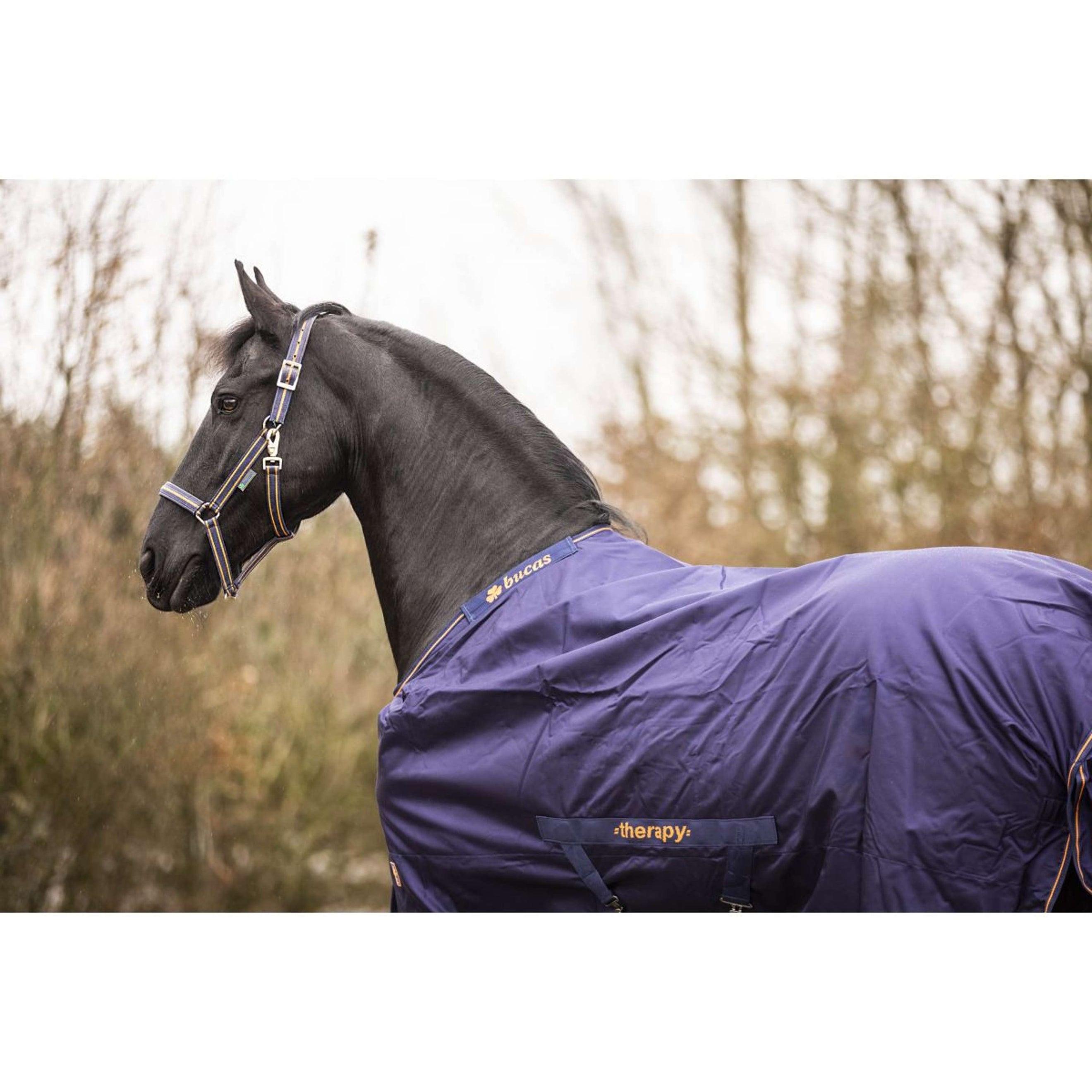 Bucas Therapy Turnout 150g Navy/Orange Bucas Therapy Turnout 150g Navy/Orange