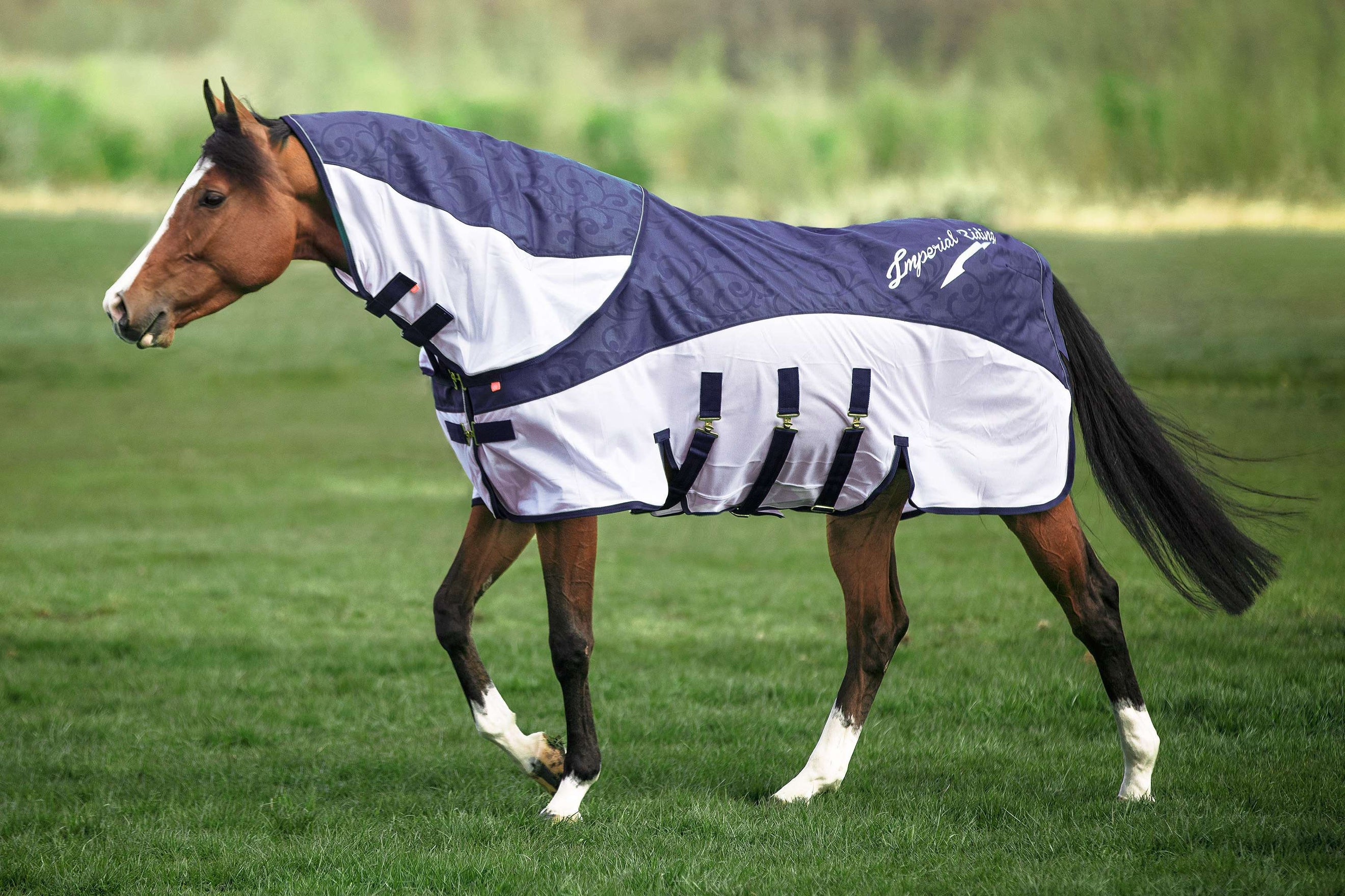 Imperial Riding Halsstuk IRHSuper-Dry Navy