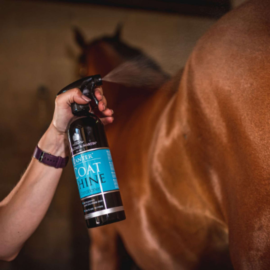 Carr & Day & Martin Glansspray Canter Coat Shine