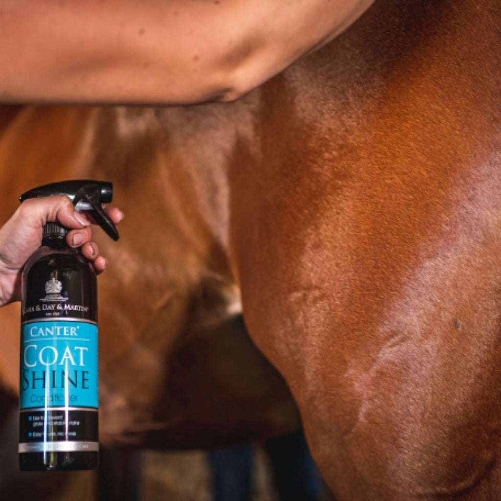 Carr & Day & Martin Glansspray Canter Coat Shine