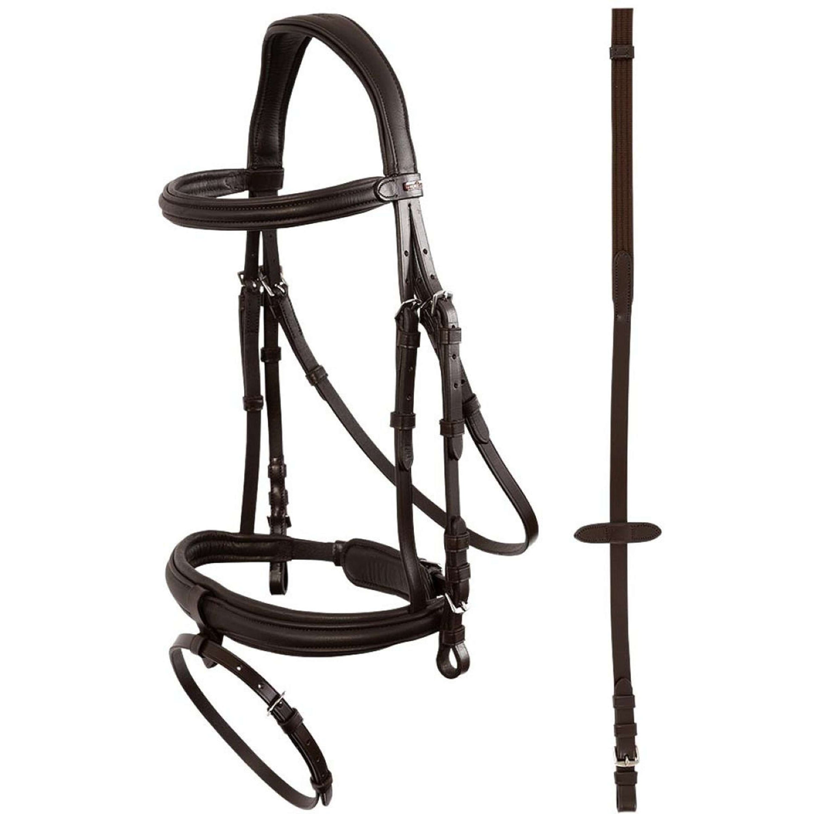 Premiere Hoofdstel Narbonne Bruin