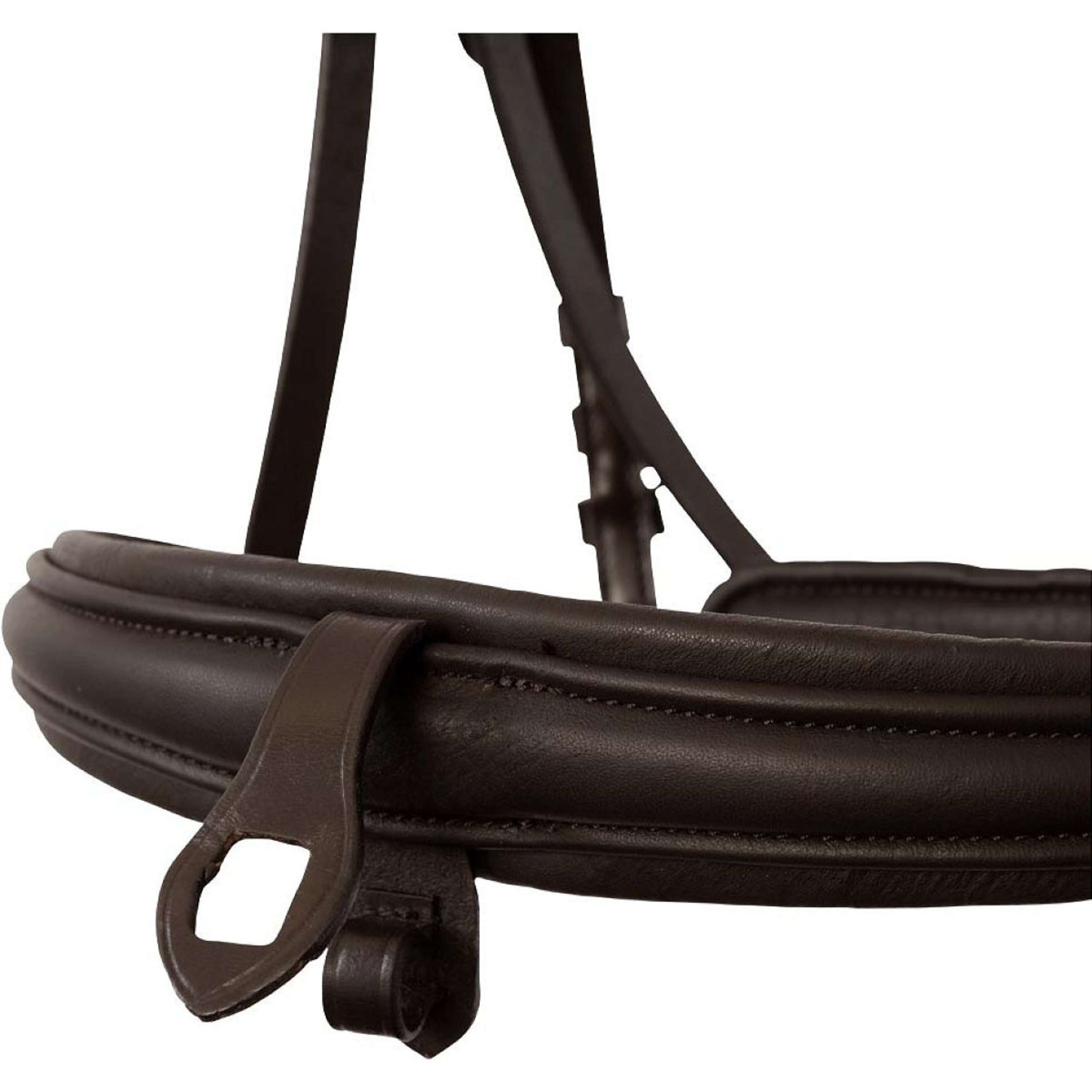 Premiere Hoofdstel Narbonne Bruin Premiere Hoofdstel Narbonne Bruin