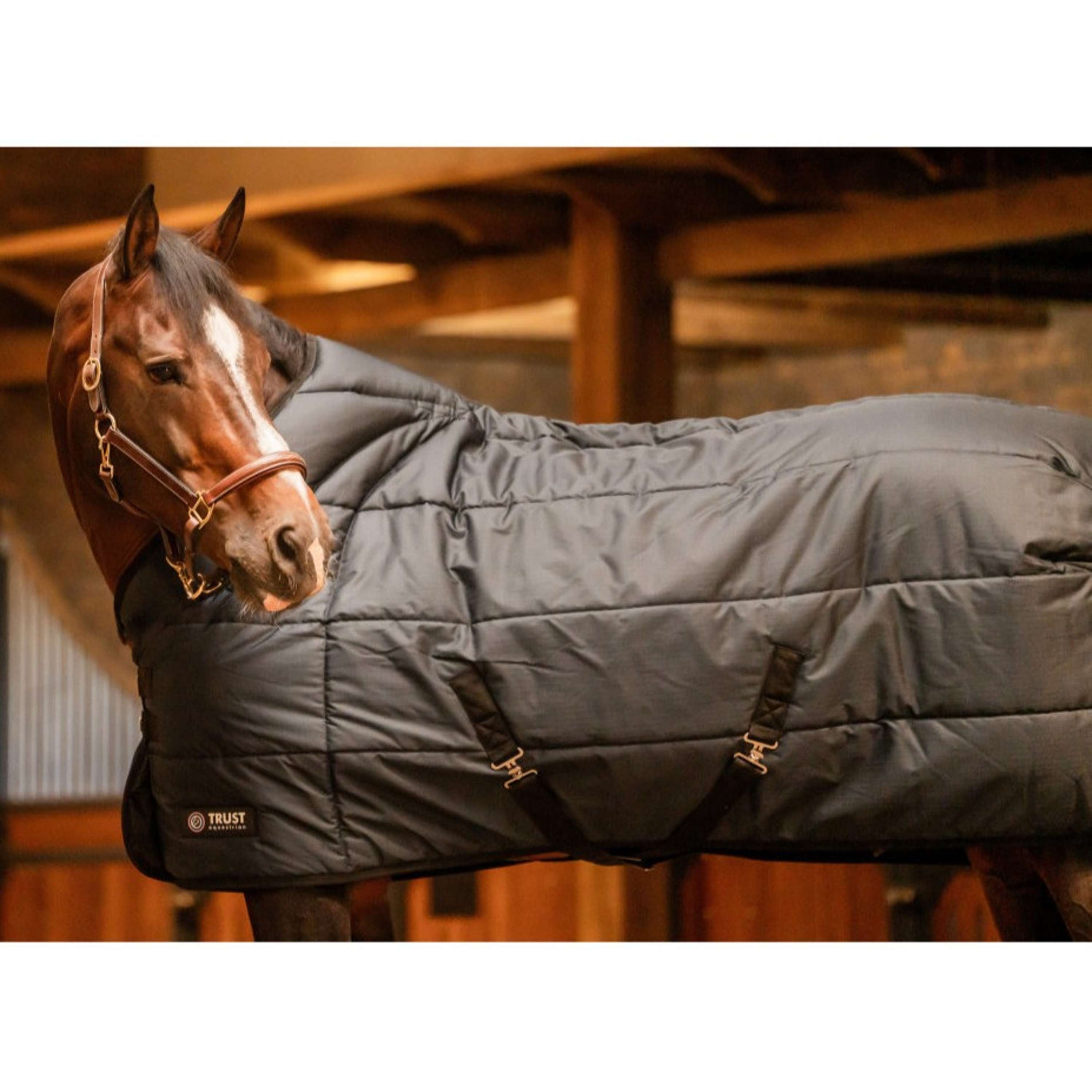 Trust Outdoordeken Tetris 100g Navy