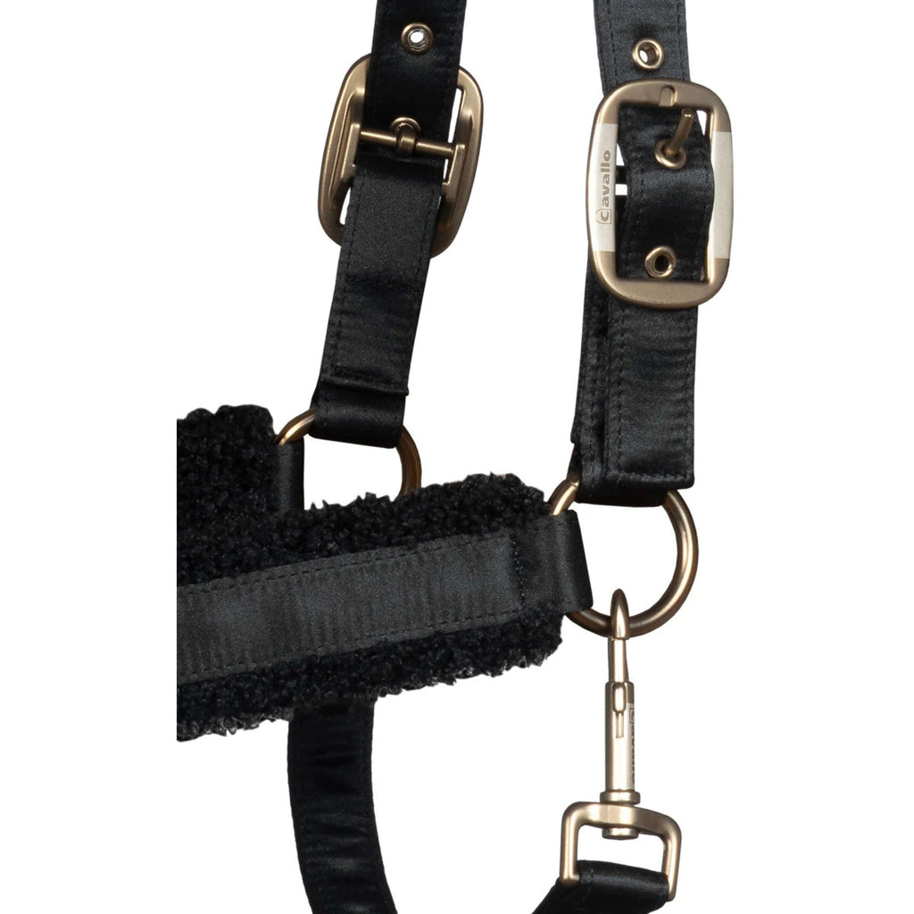 Cavallo Halster Cavallidi Zwart