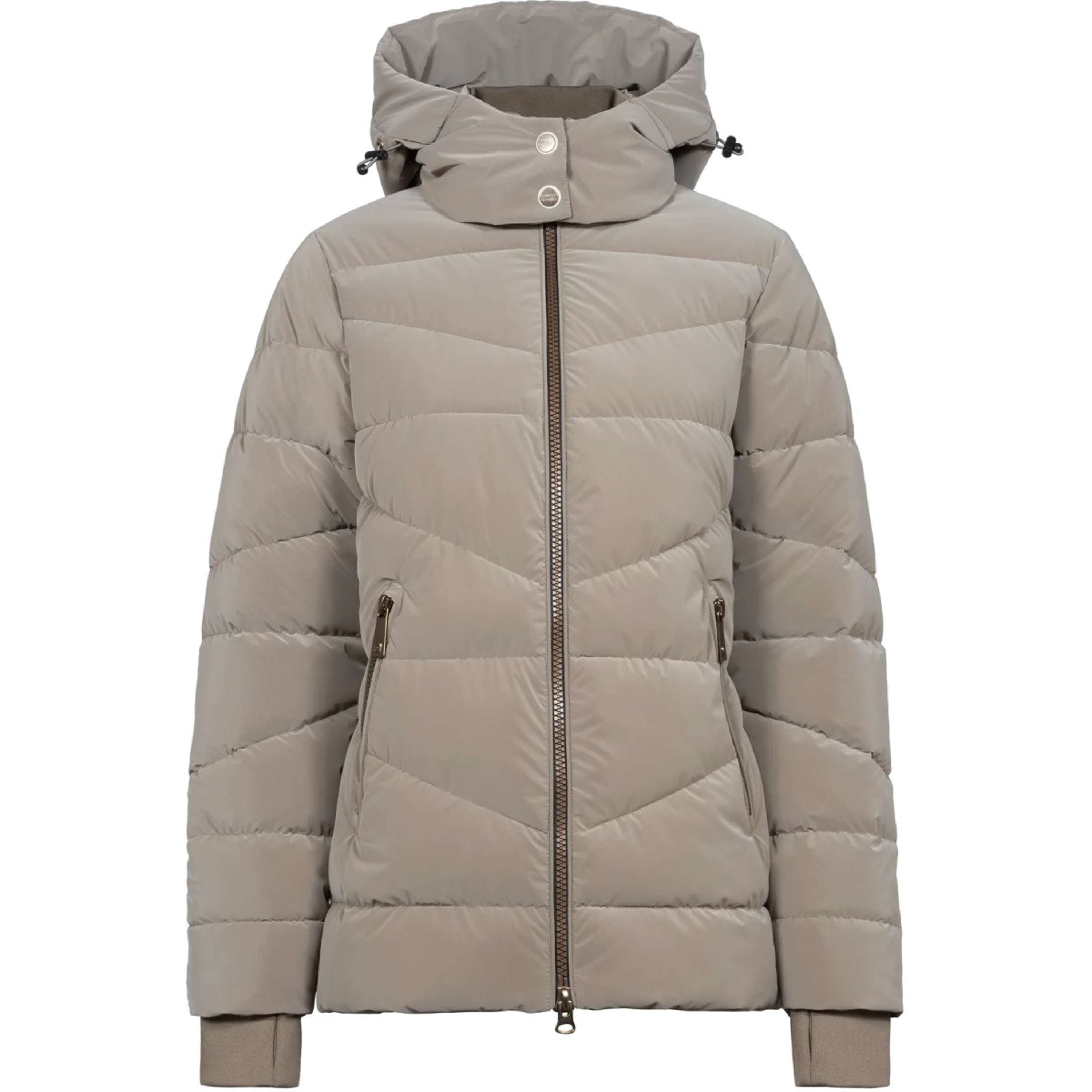 Cavallo Jas Cavallynea Peanut