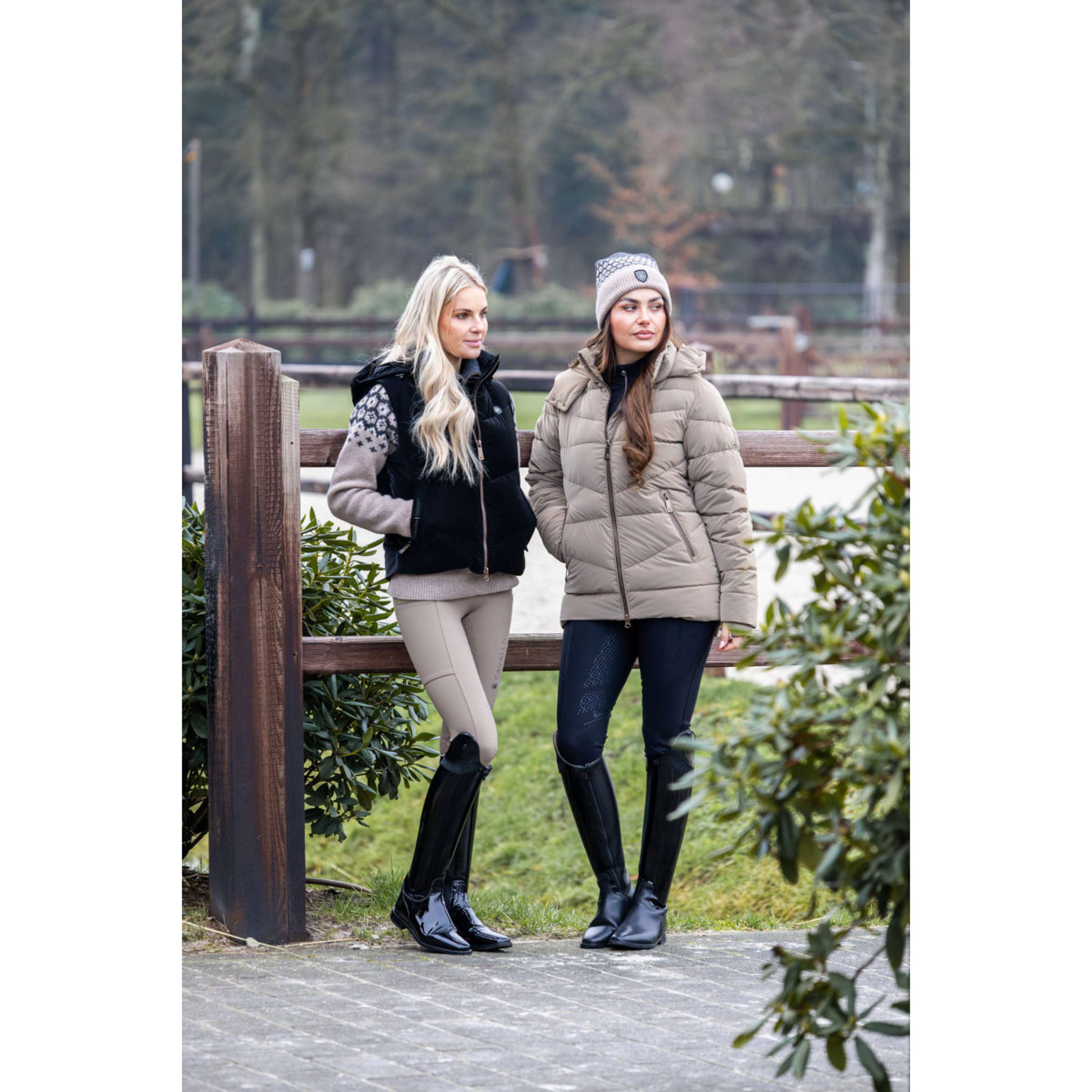 Cavallo Jas Cavallynea Peanut