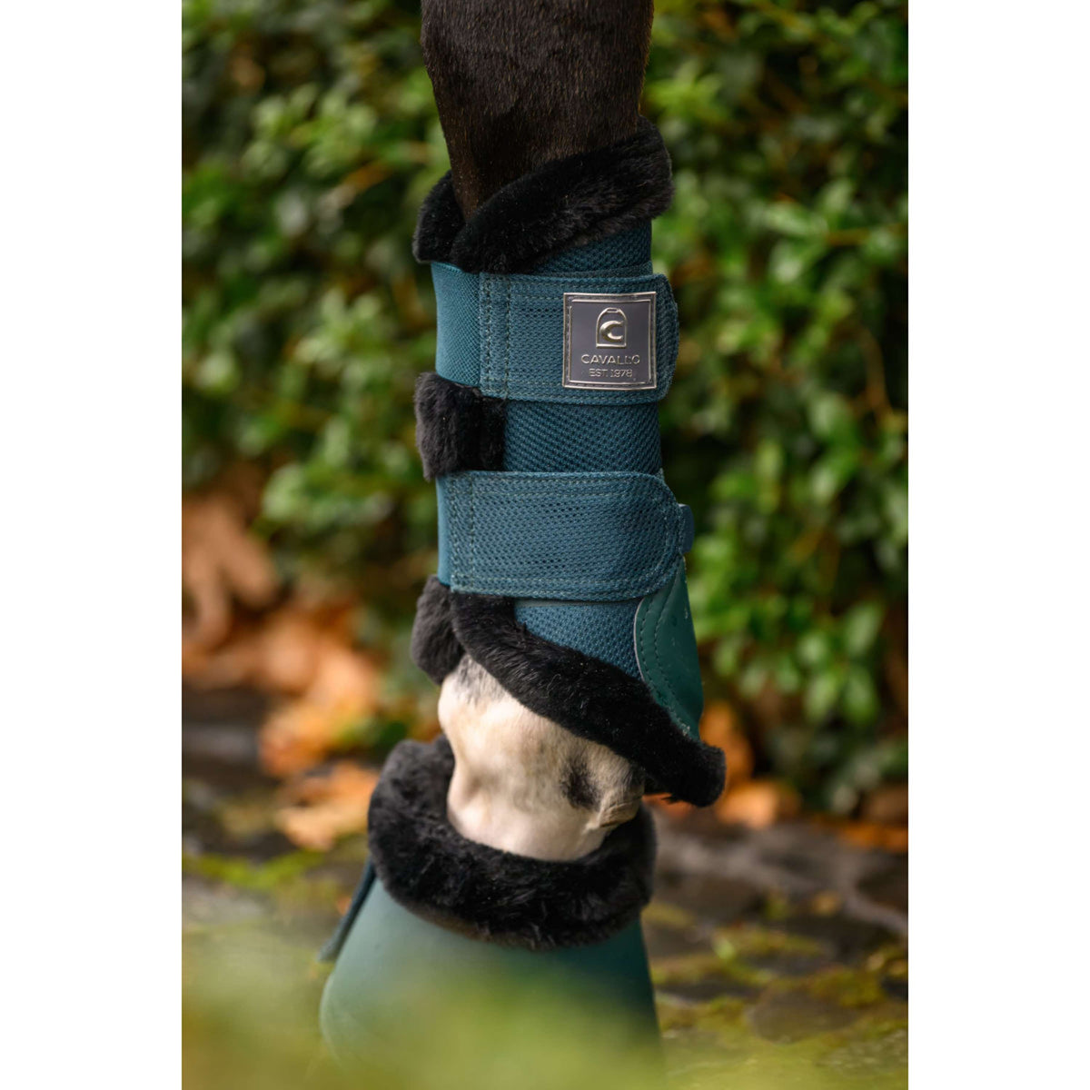 Cavallo Springschoenen CavalJodi Dark Peacock