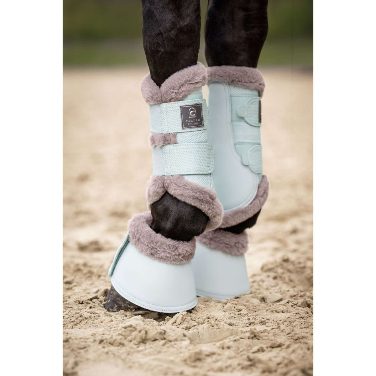 Cavallo Dressage Boots CavalJoca Crystal Blue