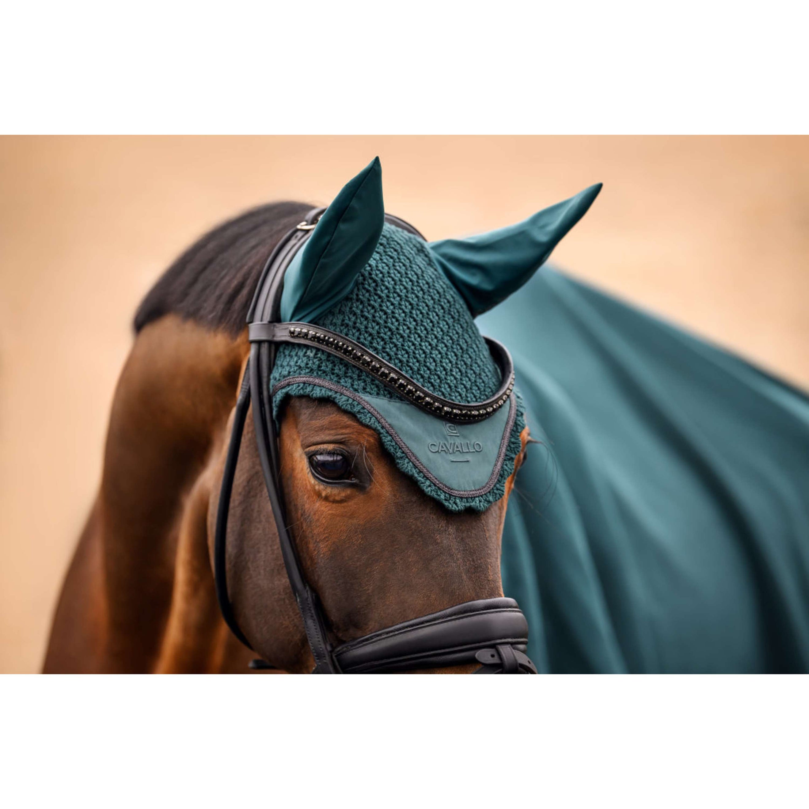 Cavallo Oornetje CavalPerla Dark Peacock