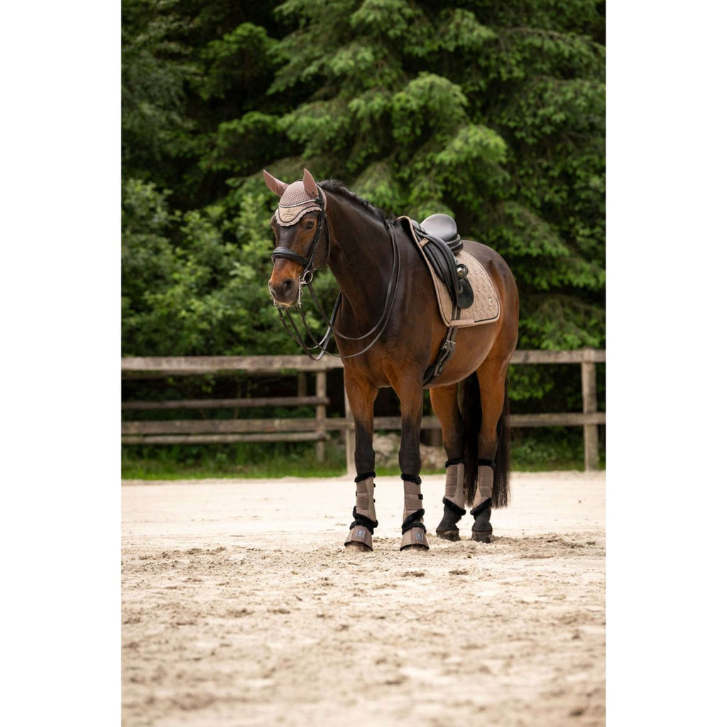 Cavallo Oornetje CavalPerla Mocha Latte