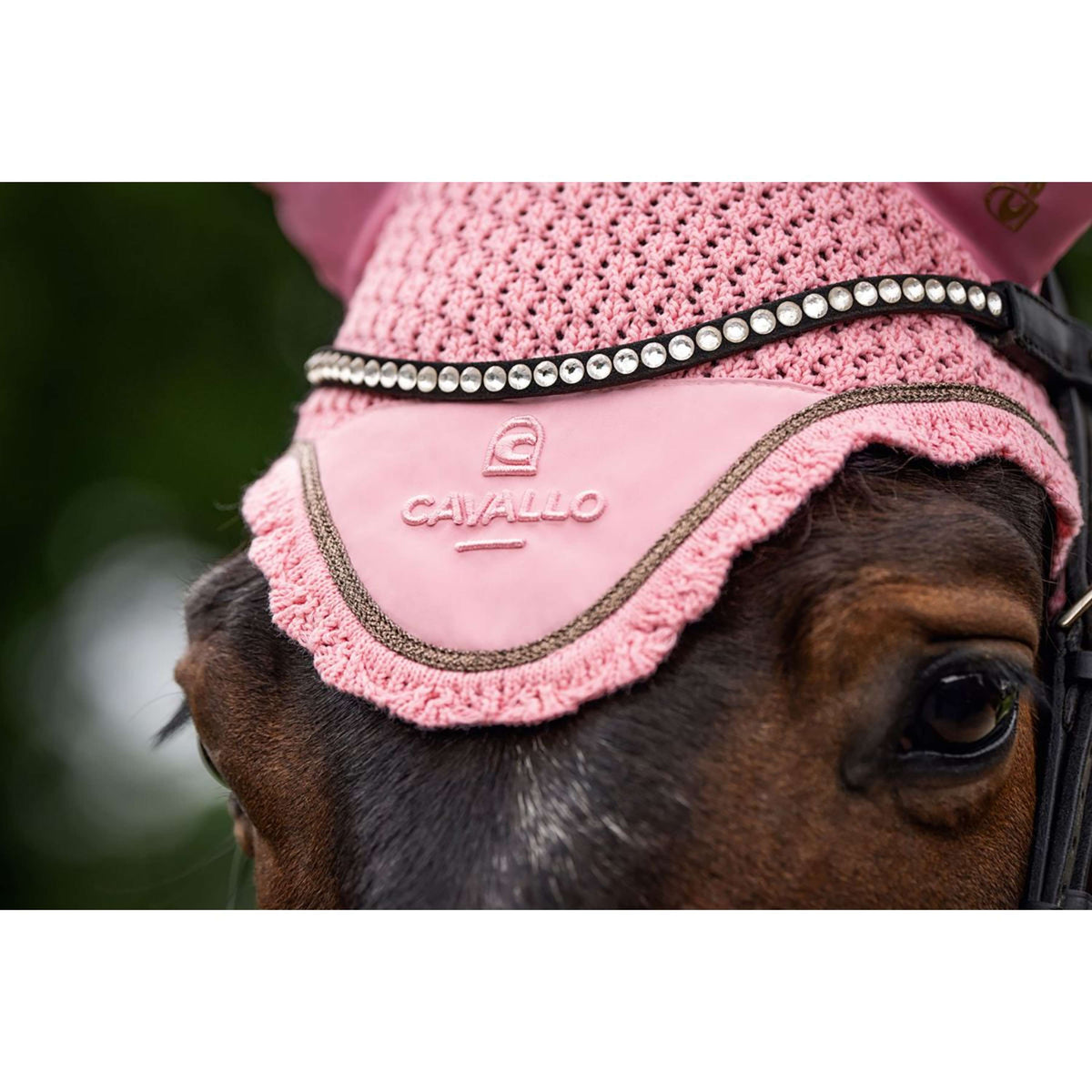 Cavallo Oornetje CavalPerla Powder Pink