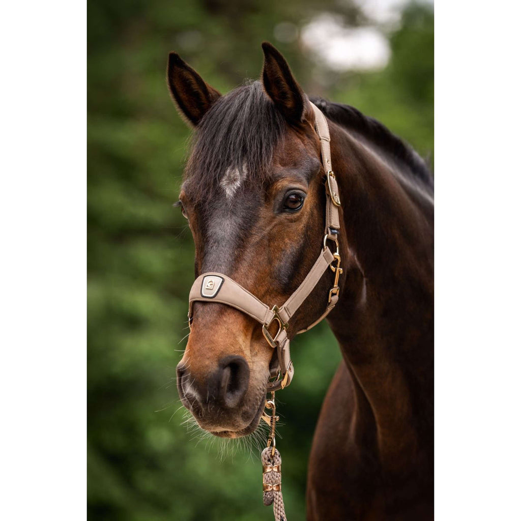 Cavallo Halster CavalPawel Mocha Latte