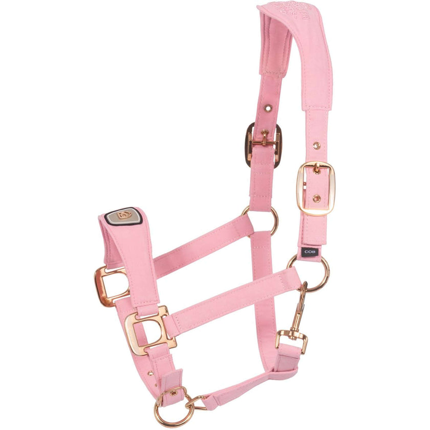 Cavallo Halster CavalPawel Powder Pink Cavallo Halster CavalPawel Powder Pink